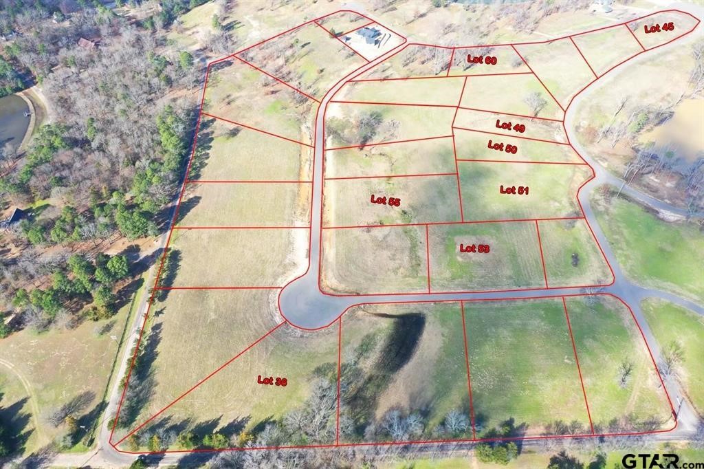 Lot 51 Southshores Pittsburg TX 75686