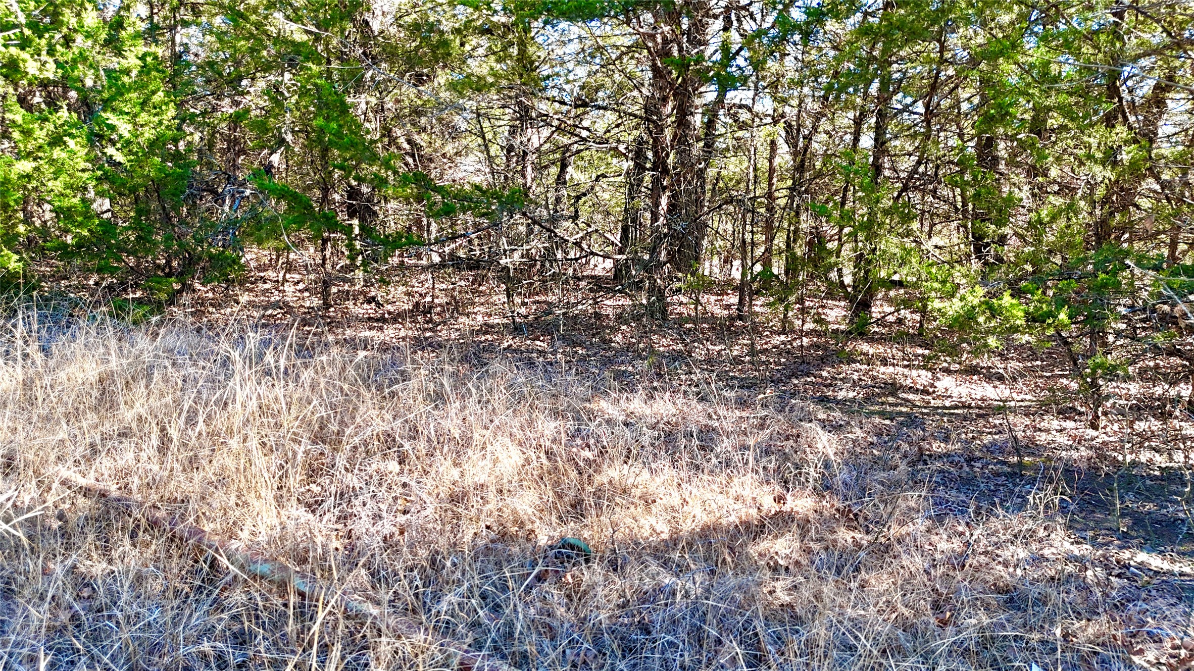 Tbd County Road 106 Whitesboro TX 76273