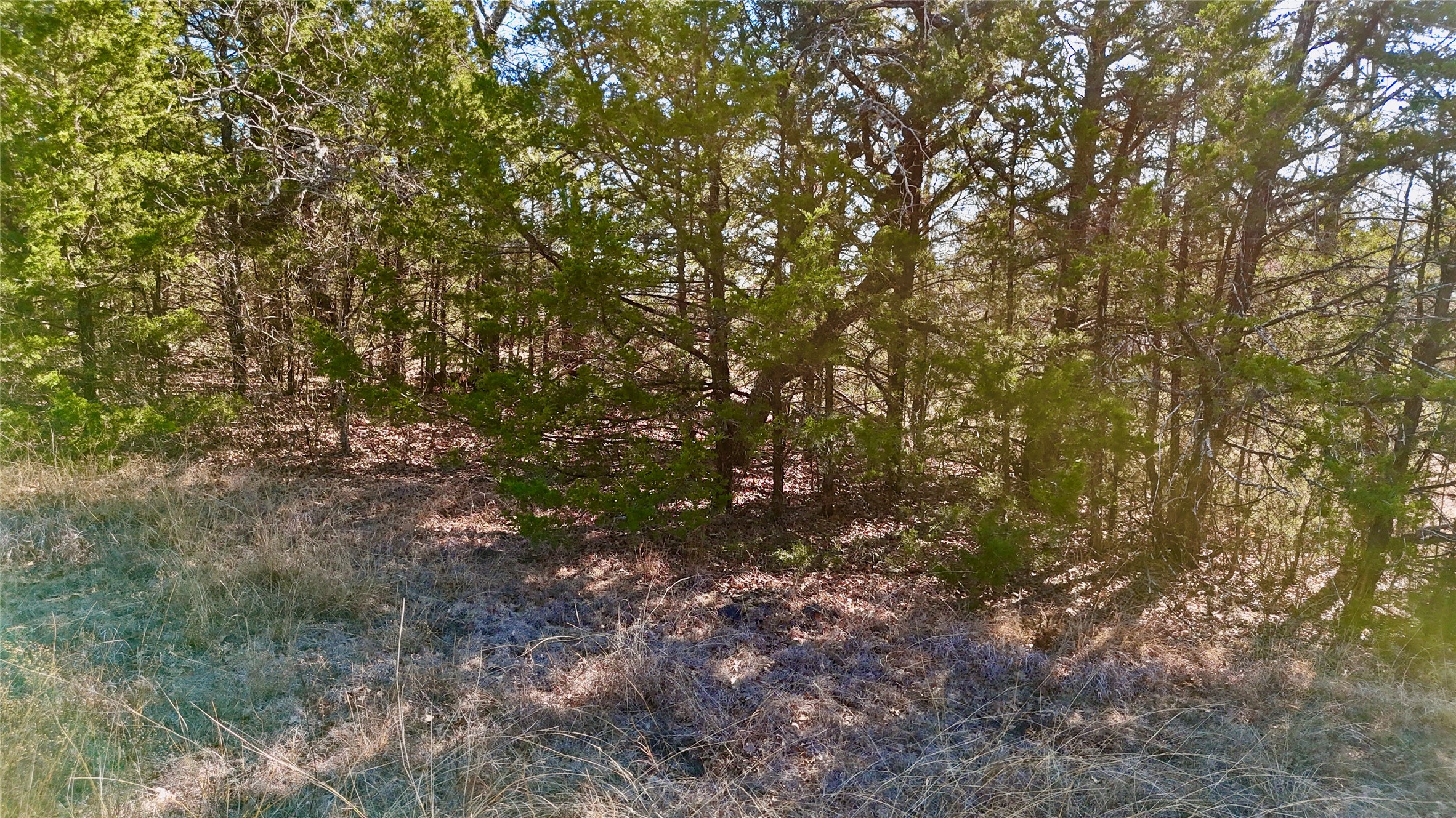 Tbd County Road 106 Whitesboro TX 76273