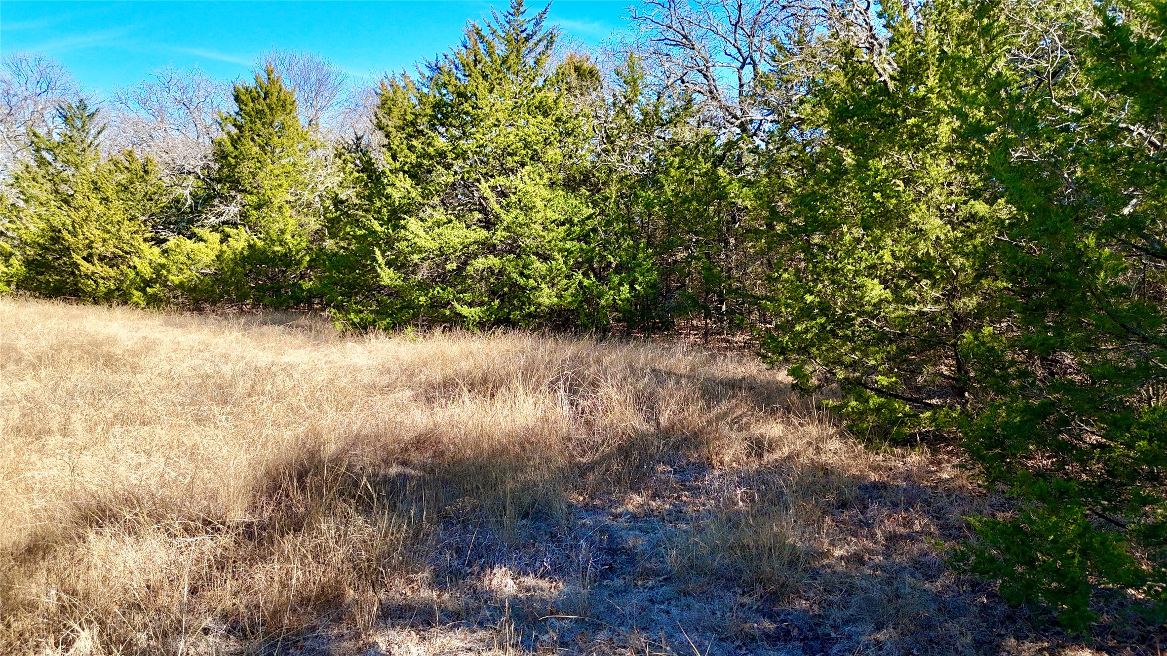 Tbd County Road 106 Whitesboro TX 76273