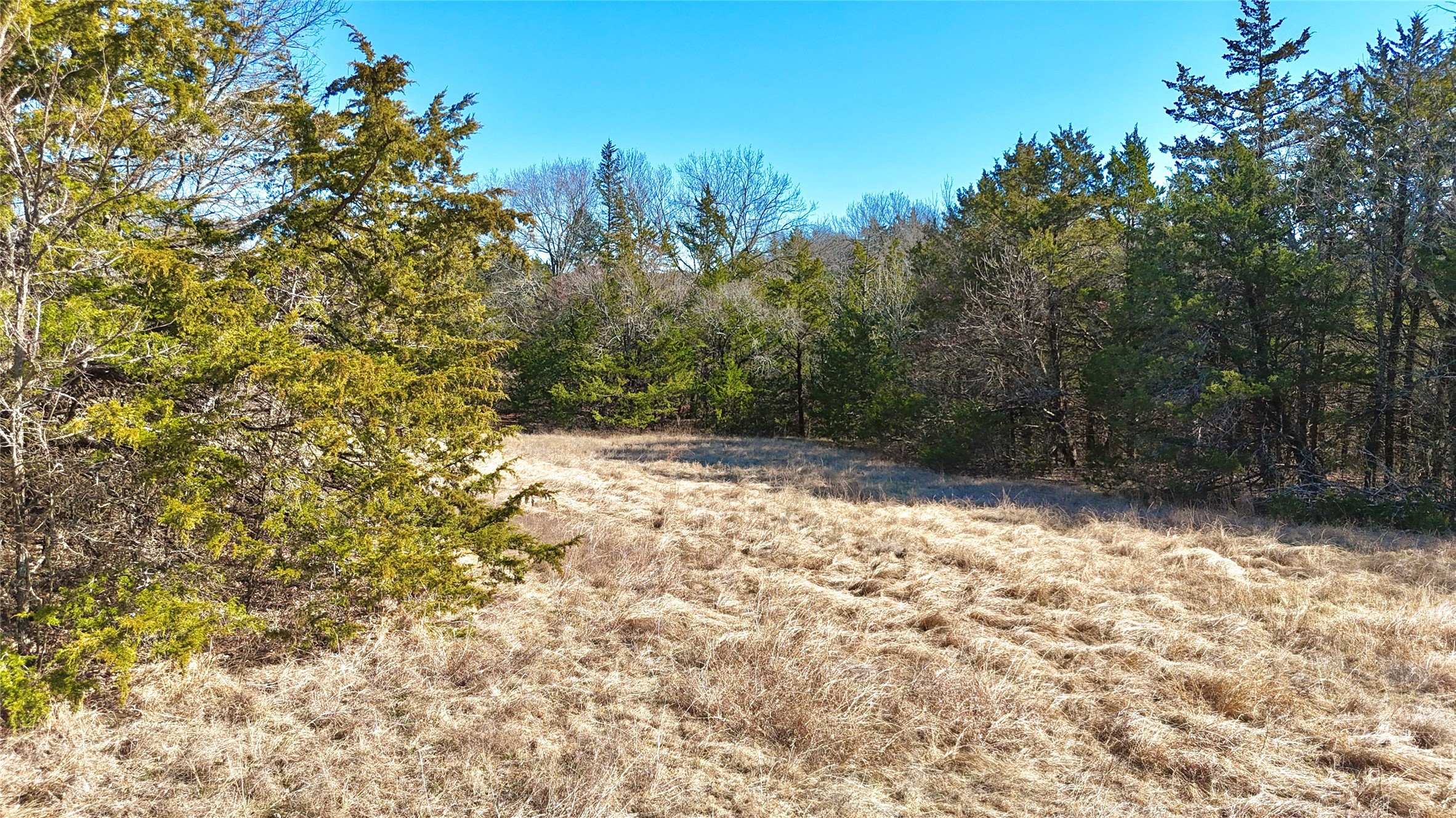 Tbd County Road 106 Whitesboro TX 76273