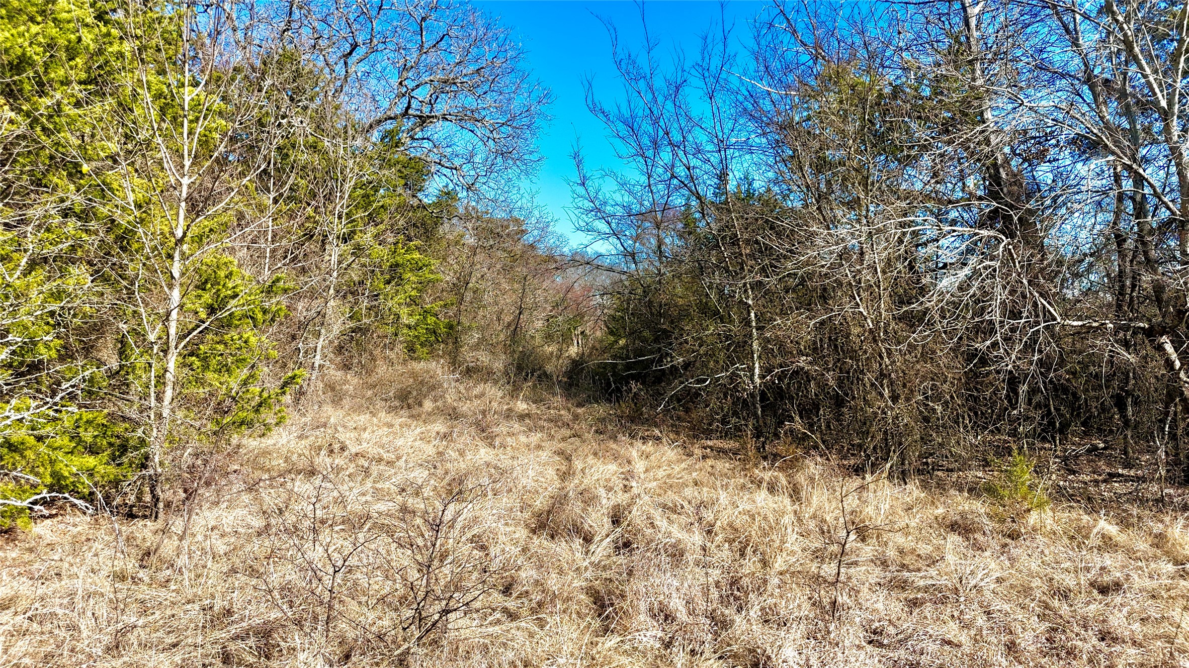Tbd County Road 106 Whitesboro TX 76273