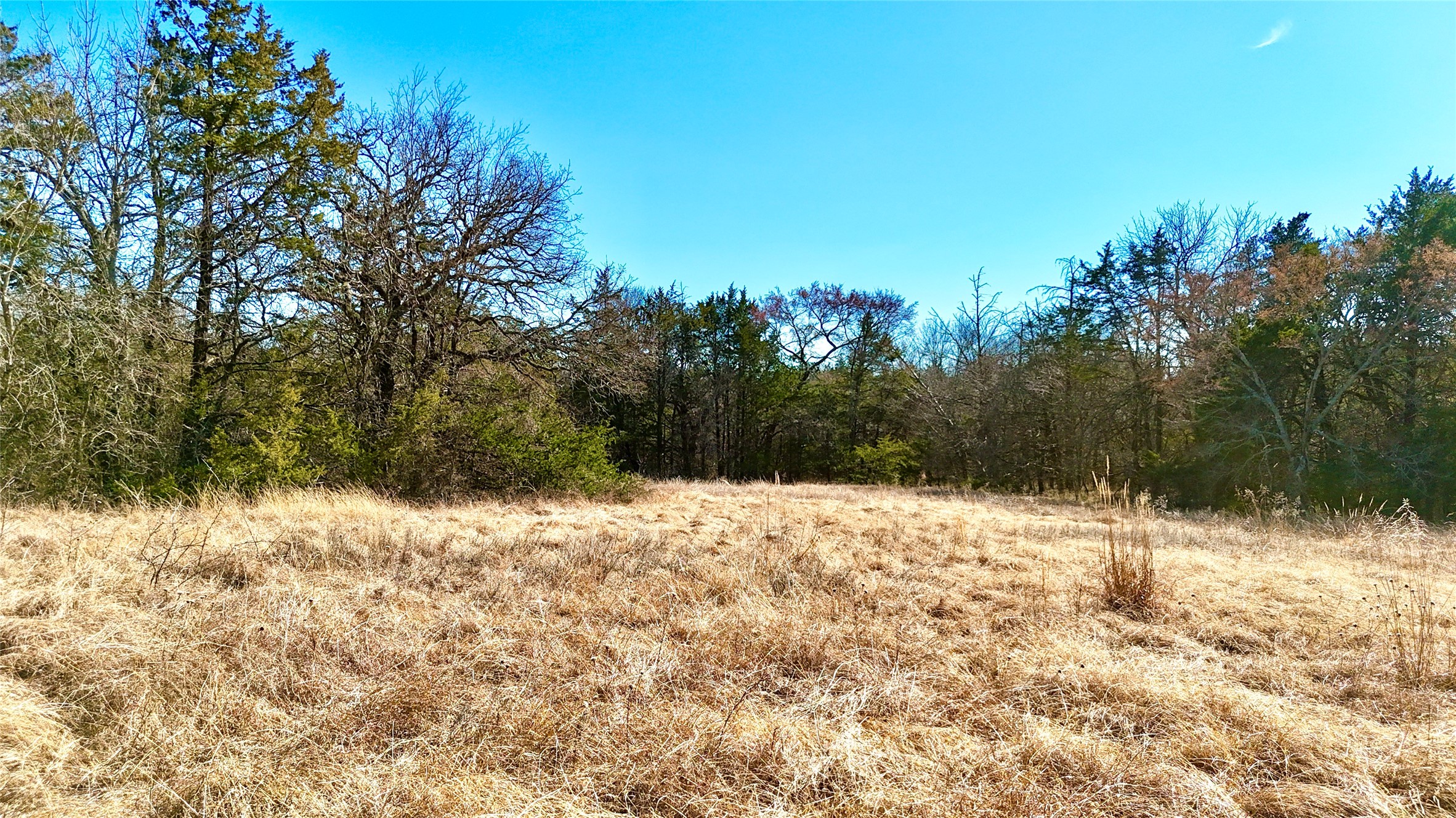 Tbd County Road 106 Whitesboro TX 76273