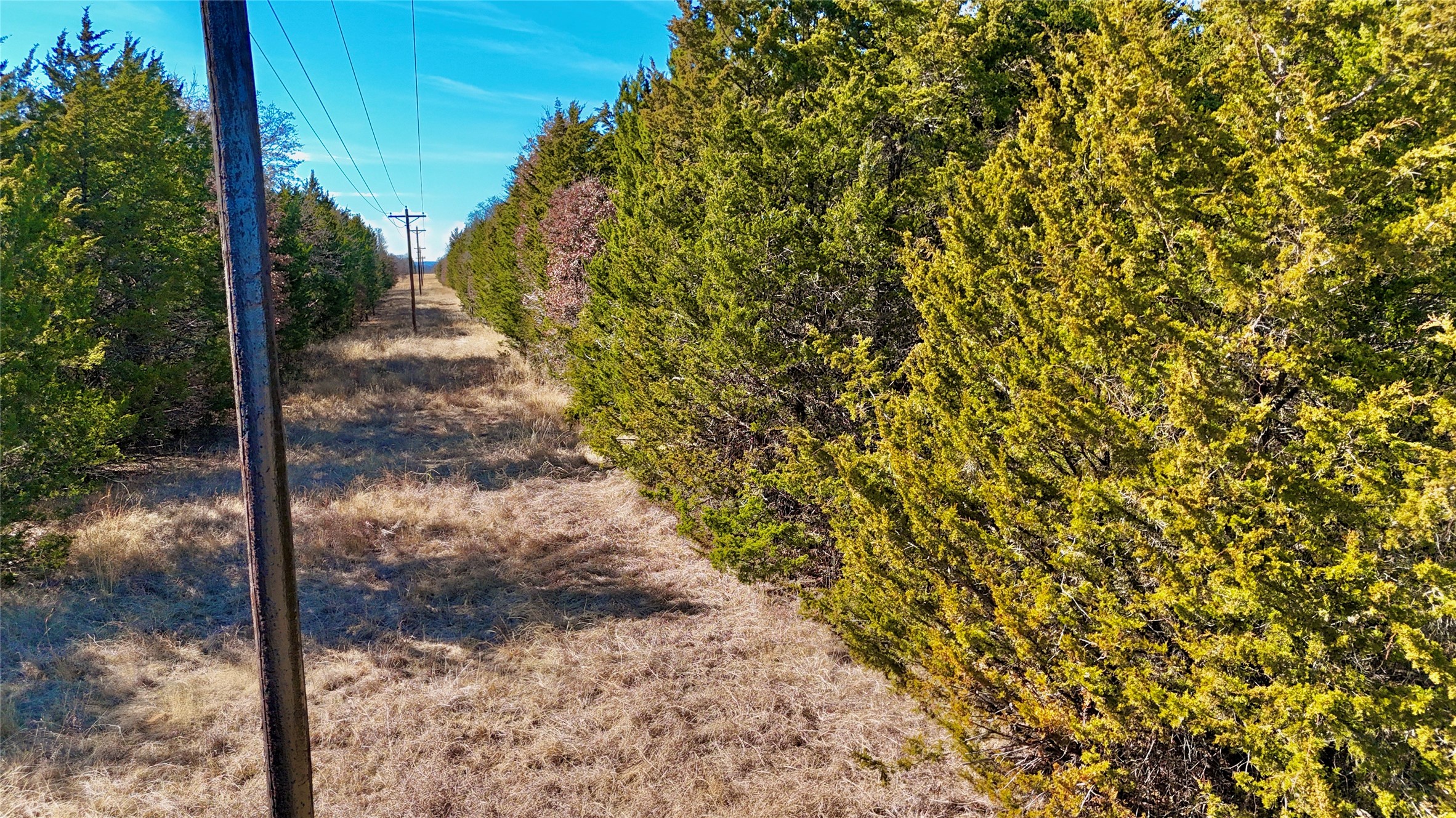 Tbd County Road 106 Whitesboro TX 76273