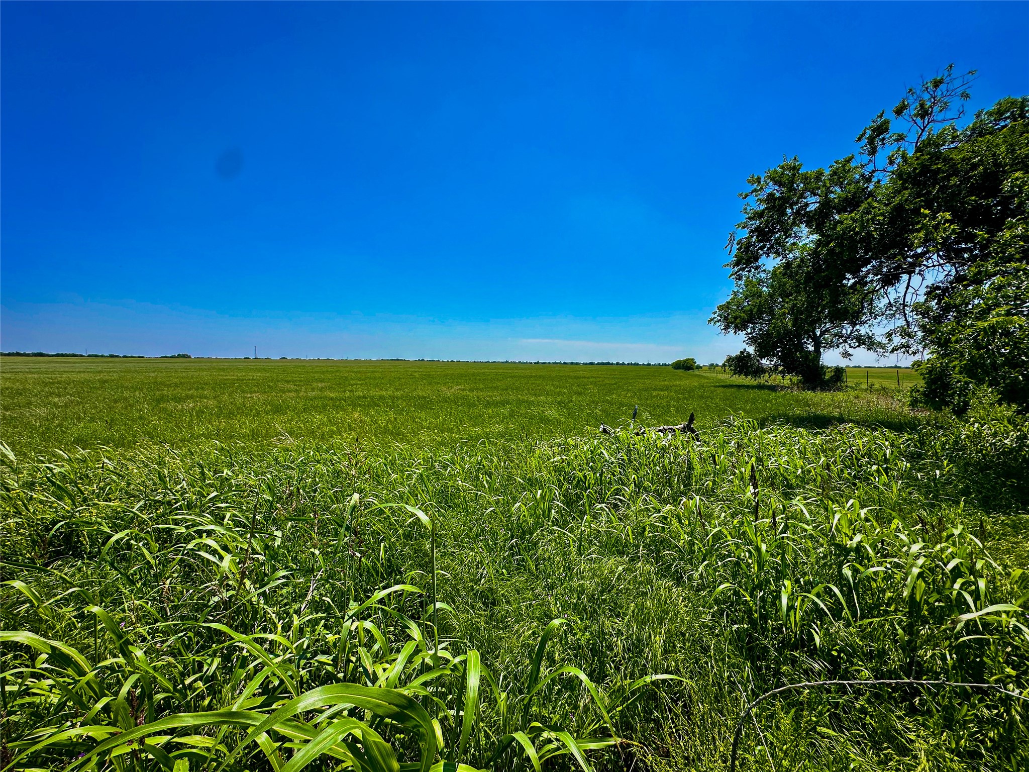 Tbd Cr 204 Valley View TX 76272