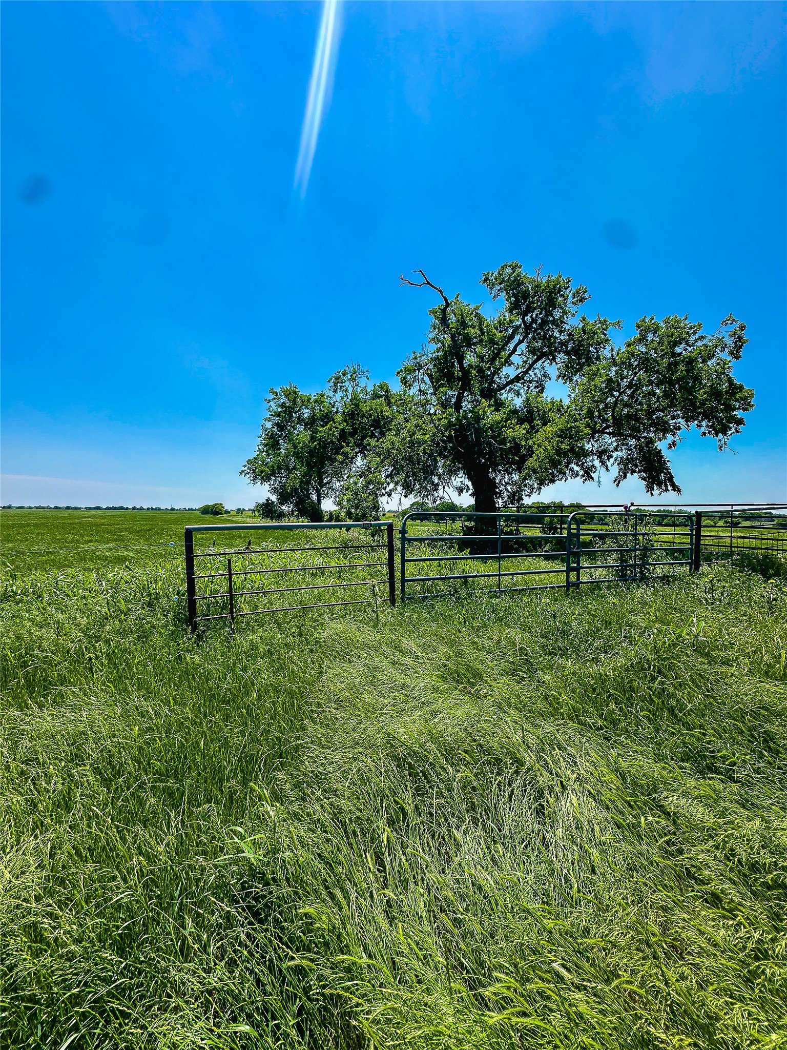 Tbd Cr 204 Valley View TX 76272