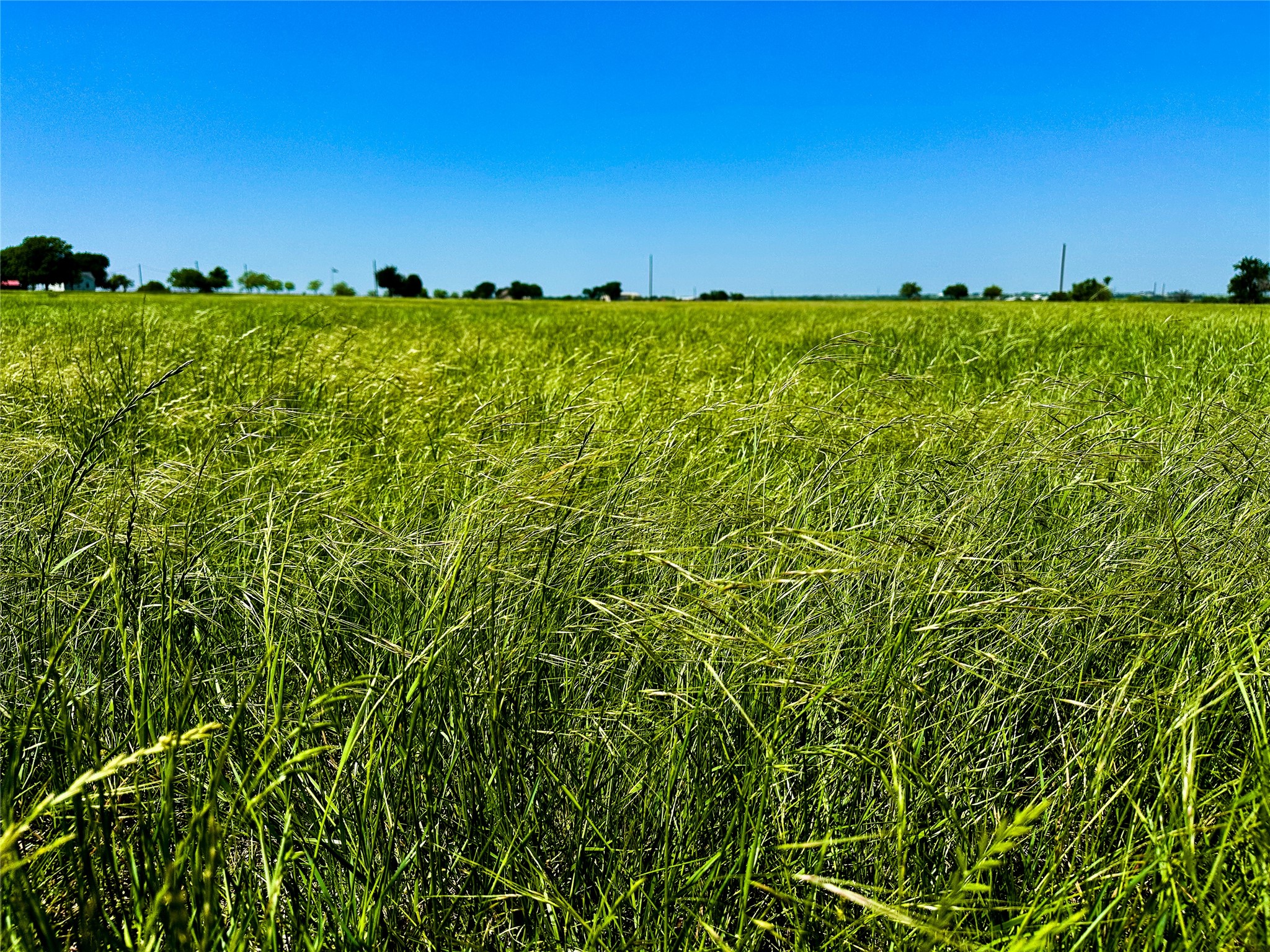 Tbd Cr 204 Valley View TX 76272