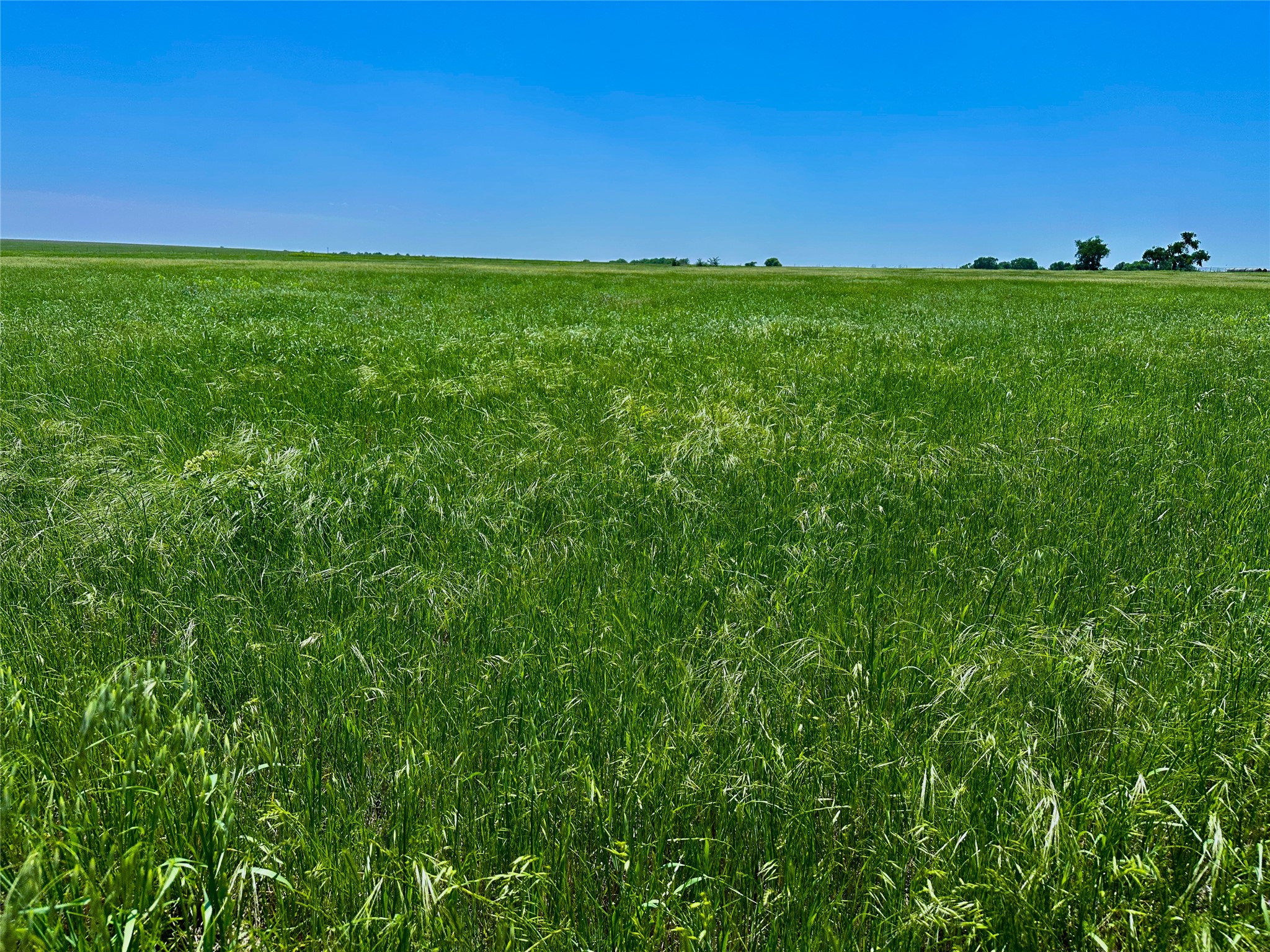Tbd Cr 204 Valley View TX 76272