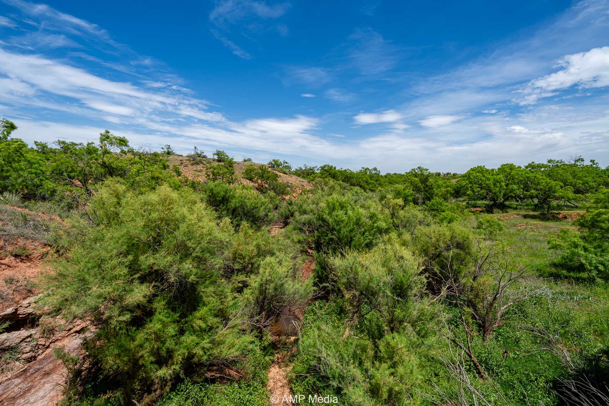 Tbd Cr 452 Rotan TX 79546