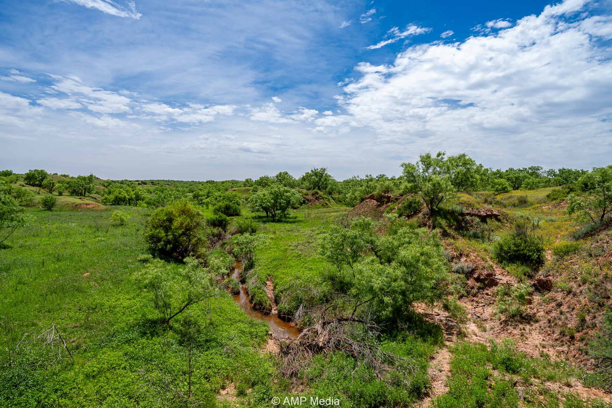Tbd Cr 452 Rotan TX 79546