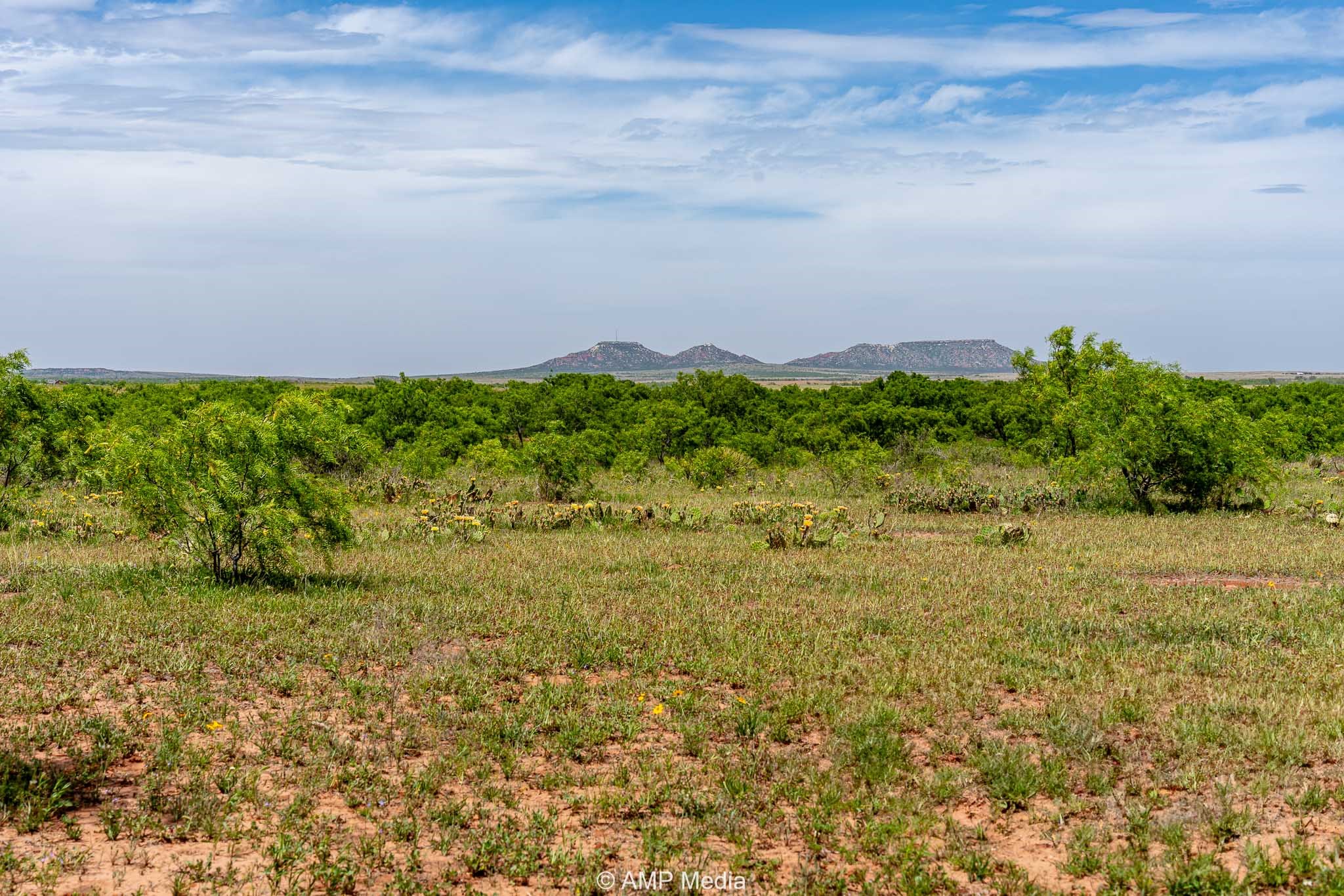 Tbd Cr 452 Rotan TX 79546