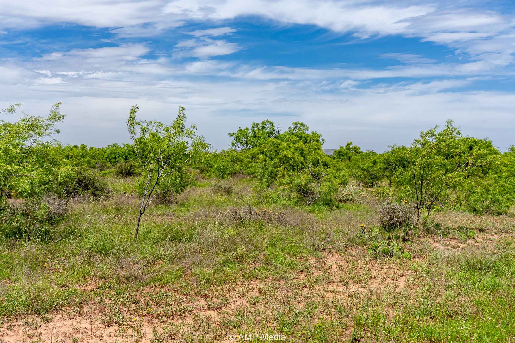Tbd Cr 452 Rotan TX 79546