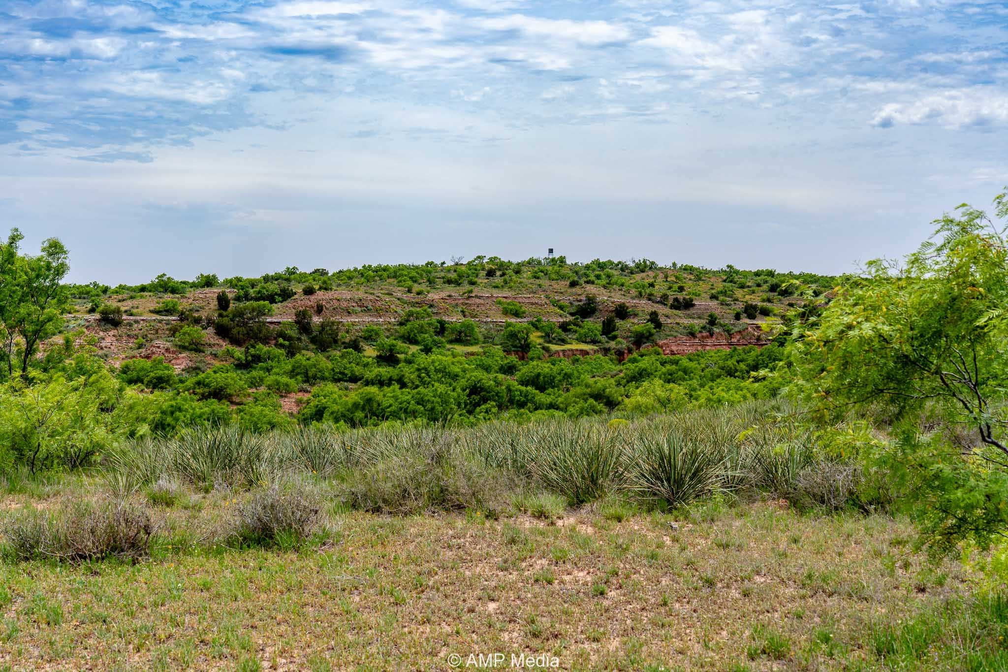 Tbd Cr 452 Rotan TX 79546