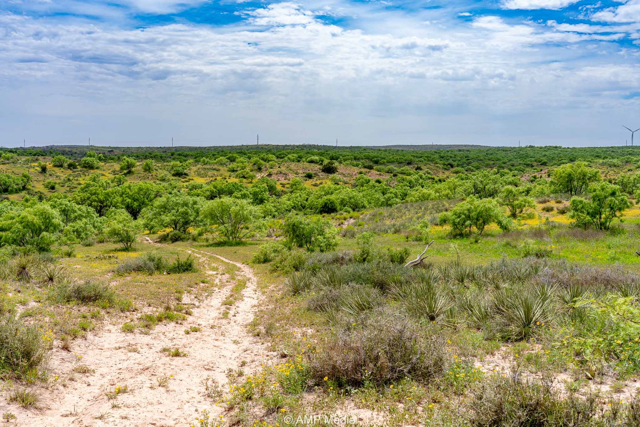 Tbd Cr 452 Rotan TX 79546