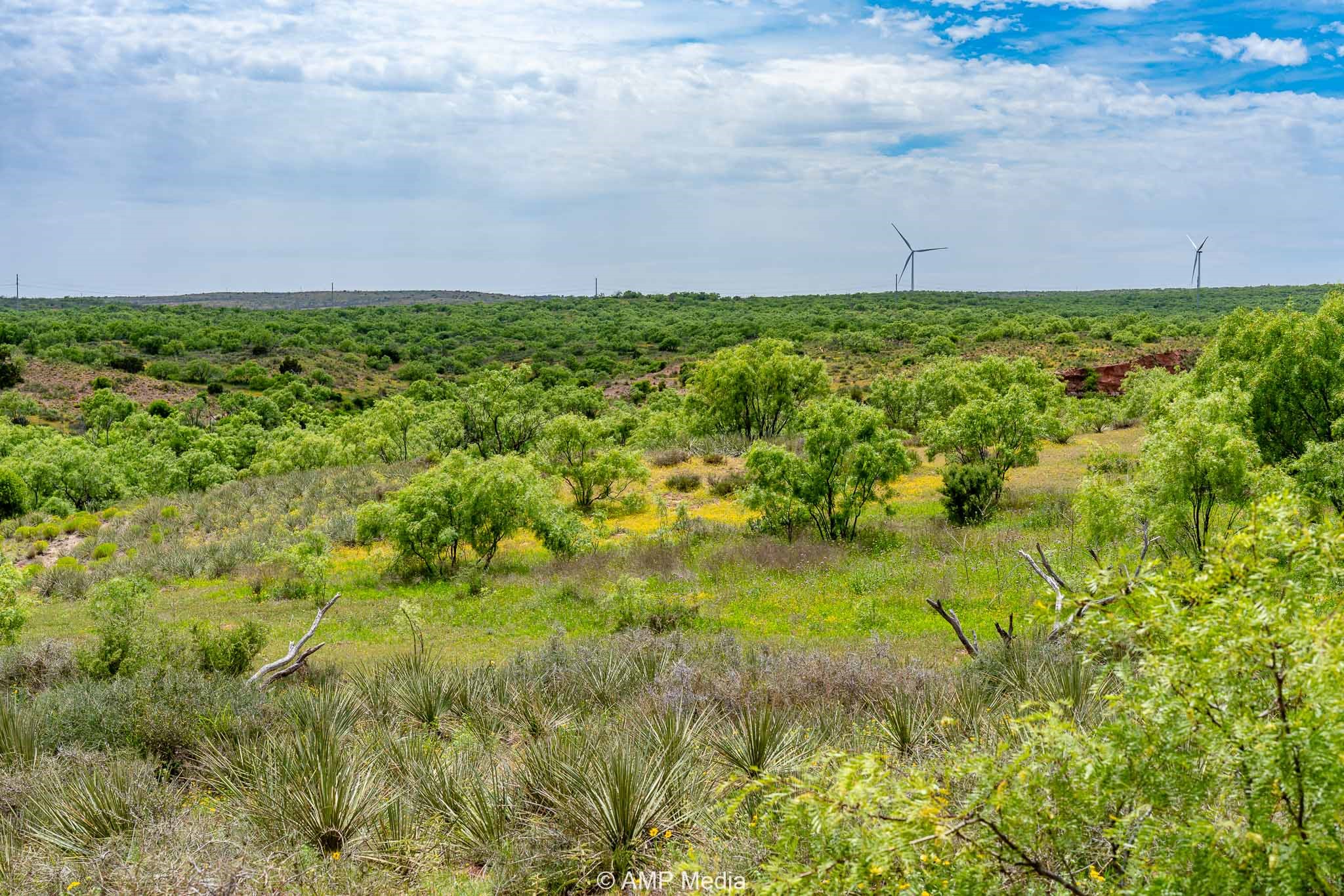Tbd Cr 452 Rotan TX 79546