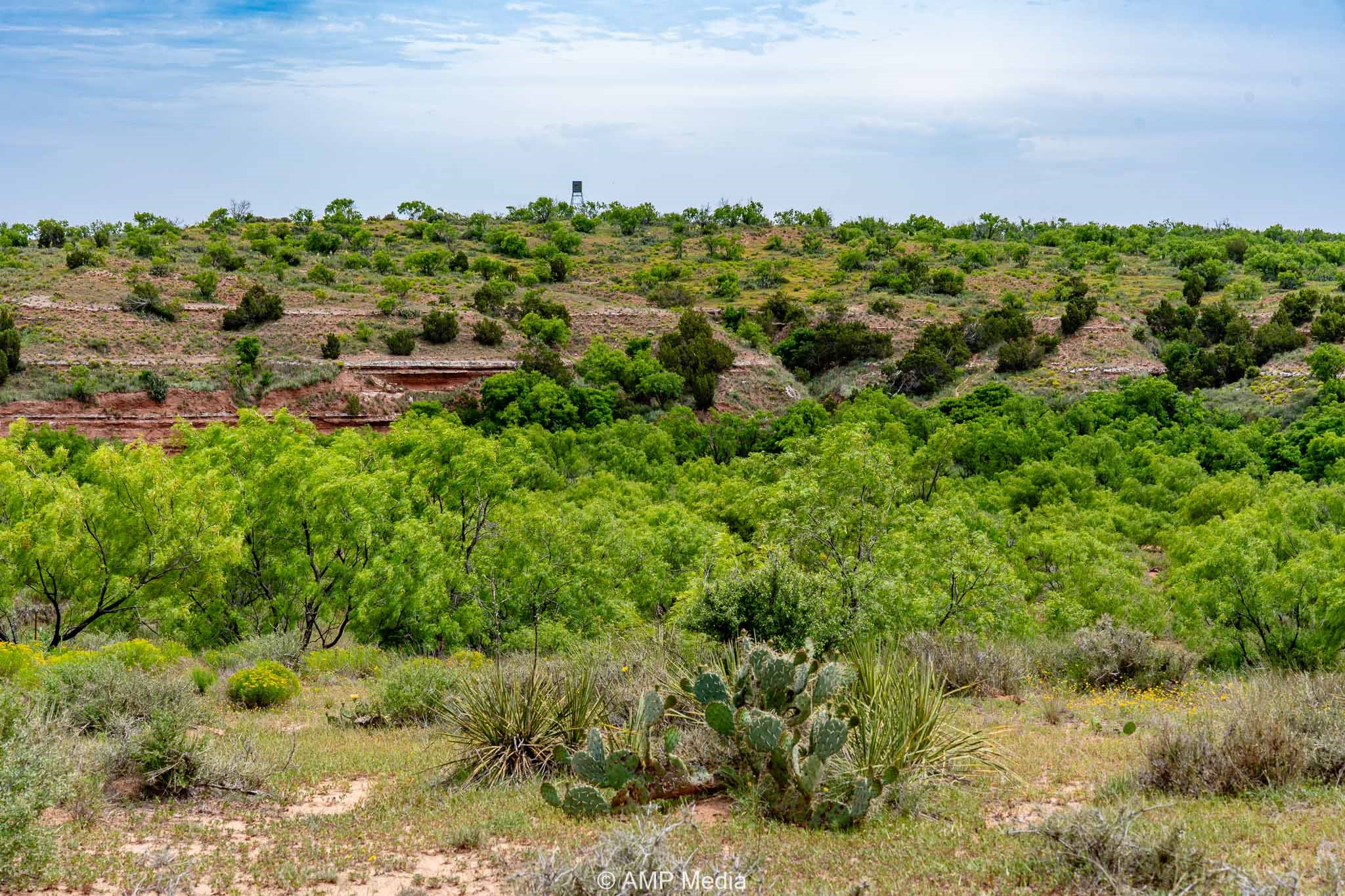 Tbd Cr 452 Rotan TX 79546