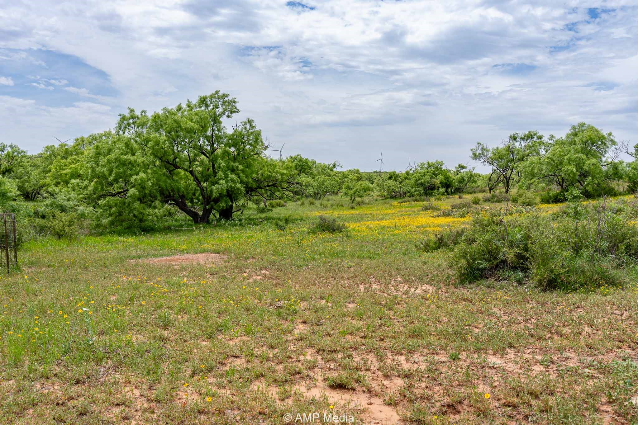 Tbd Cr 452 Rotan TX 79546