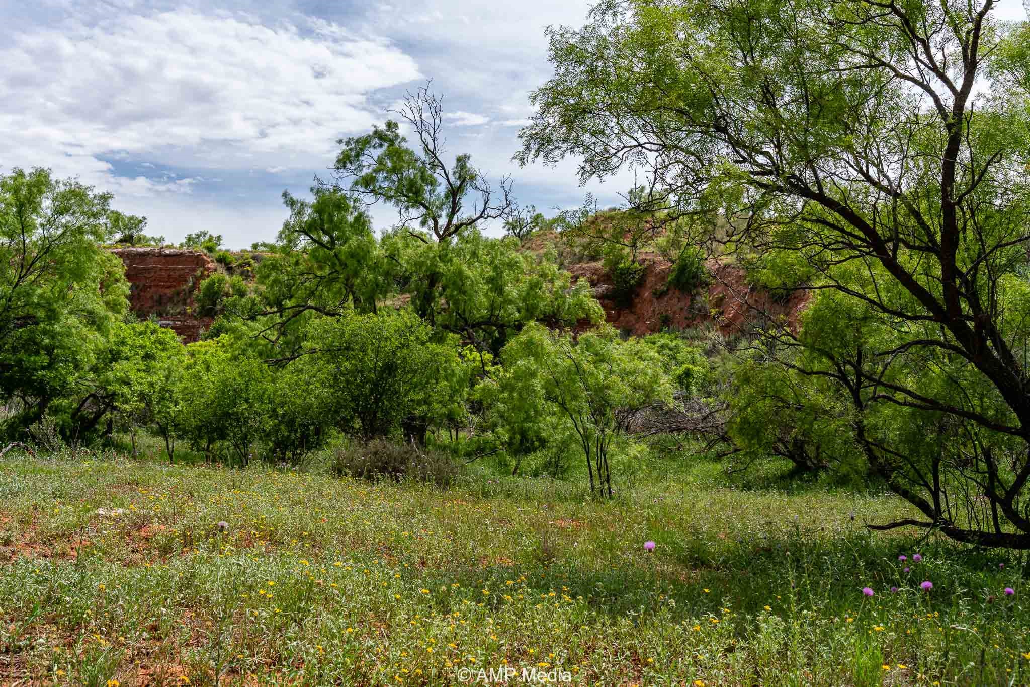 Tbd Cr 452 Rotan TX 79546