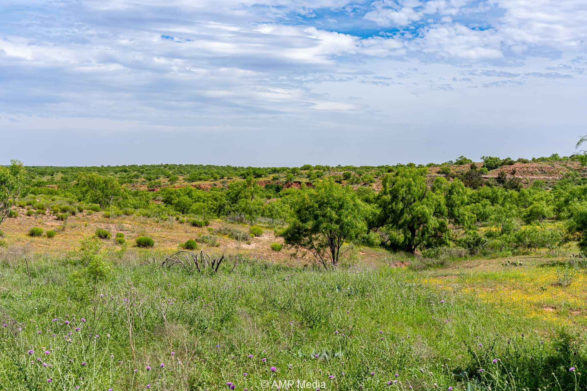Tbd Cr 452 Rotan TX 79546