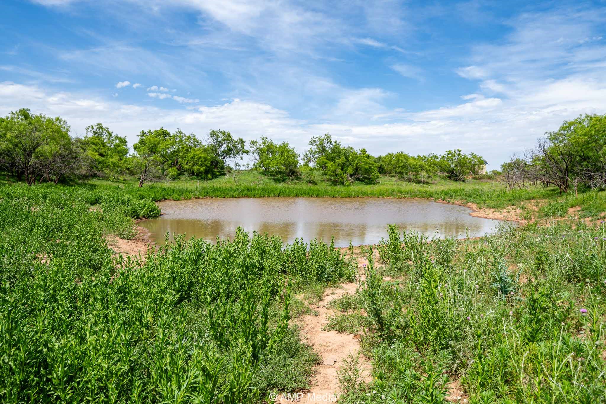 Tbd Cr 452 Rotan TX 79546