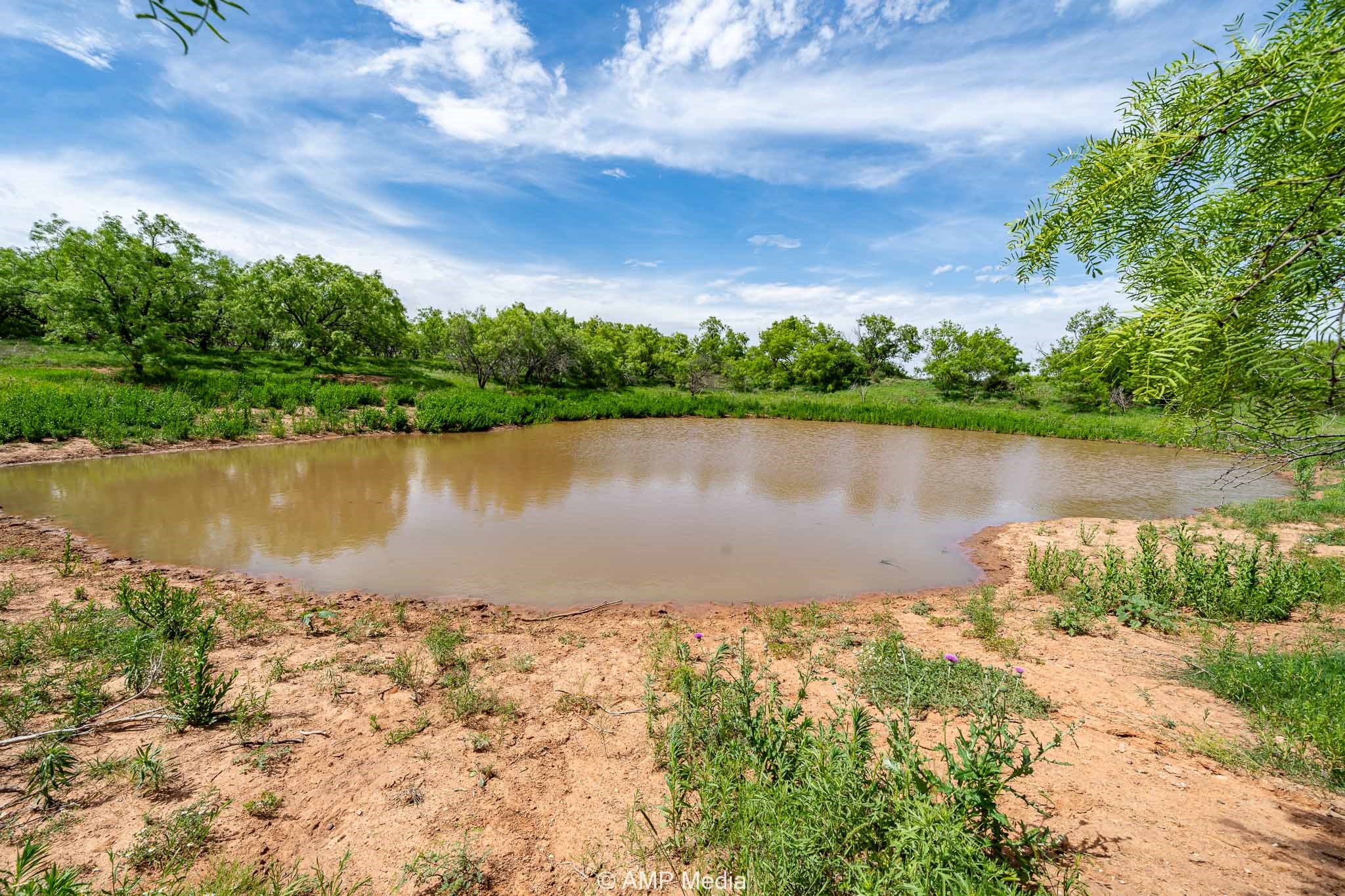Tbd Cr 452 Rotan TX 79546
