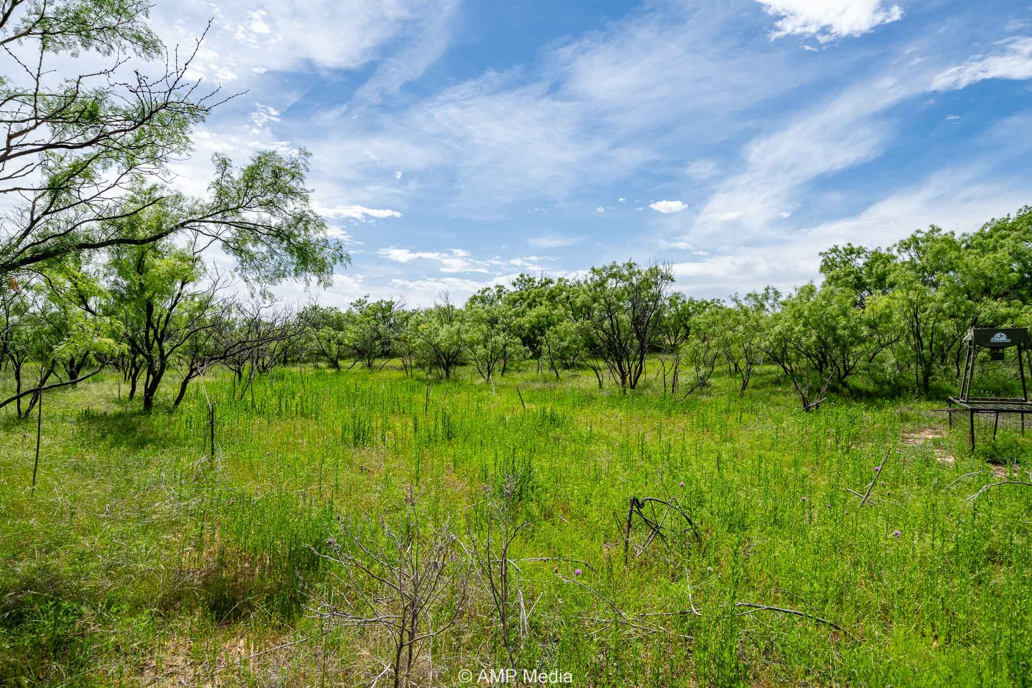 Tbd Cr 452 Rotan TX 79546
