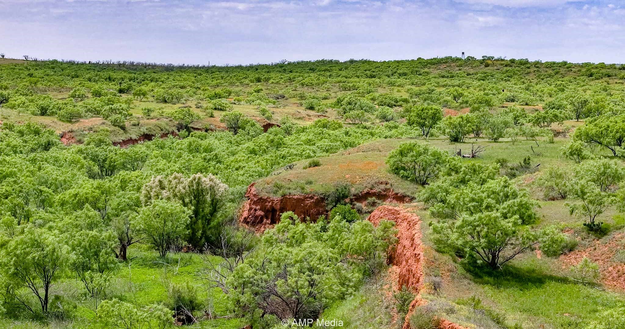 Tbd Cr 452 Rotan TX 79546