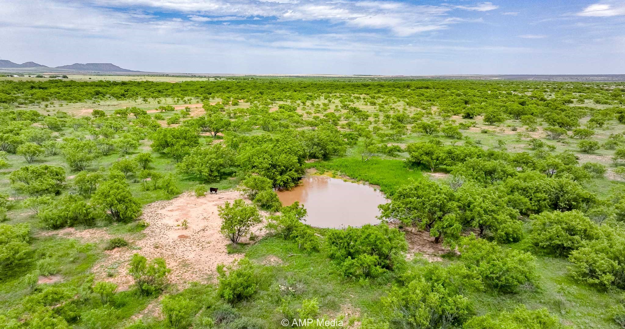 Tbd Cr 452 Rotan TX 79546