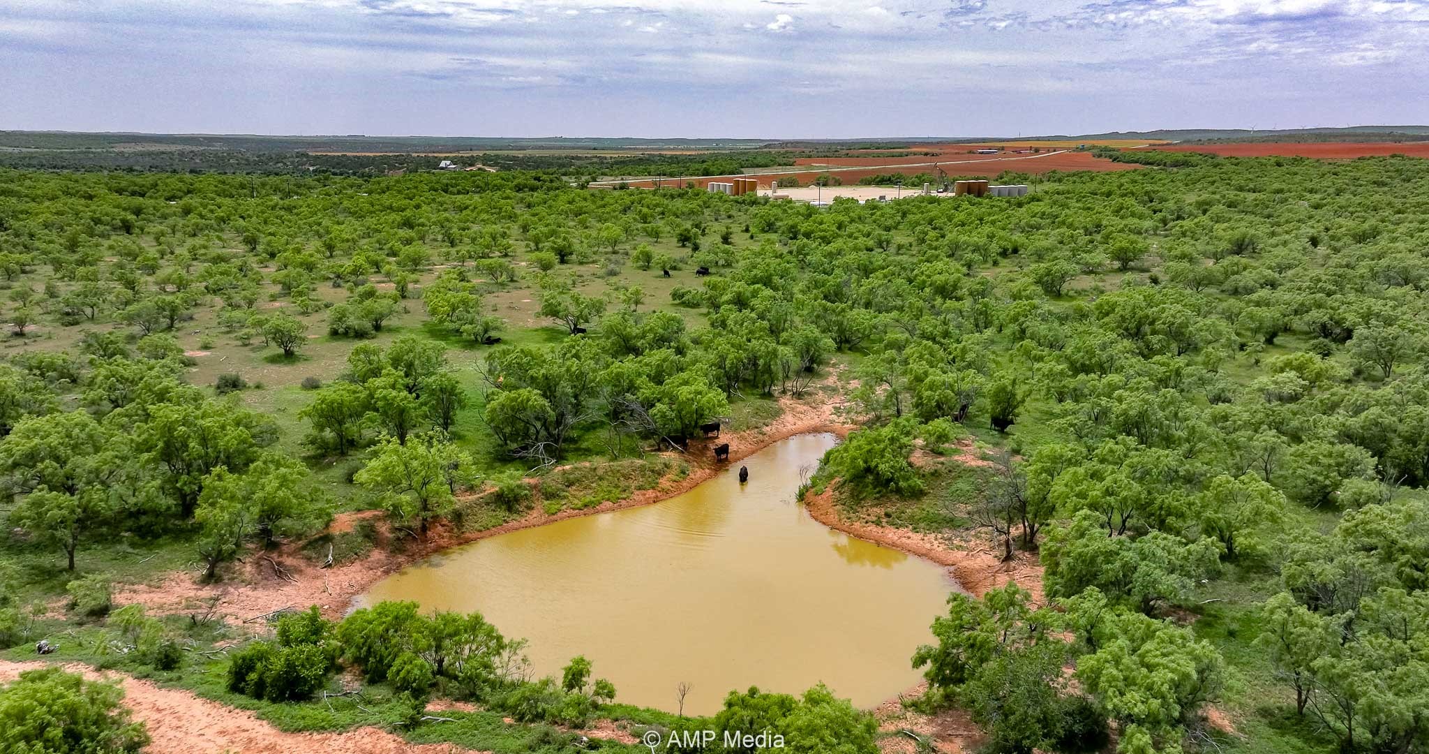 Tbd Cr 452 Rotan TX 79546
