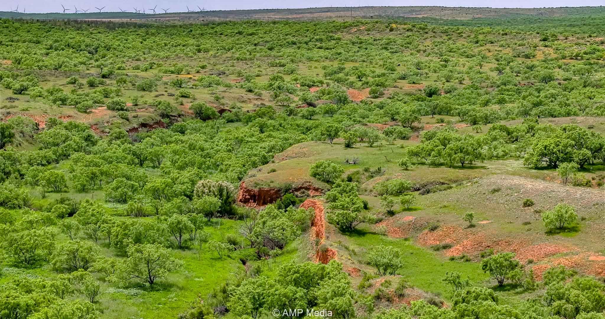 Tbd Cr 452 Rotan TX 79546