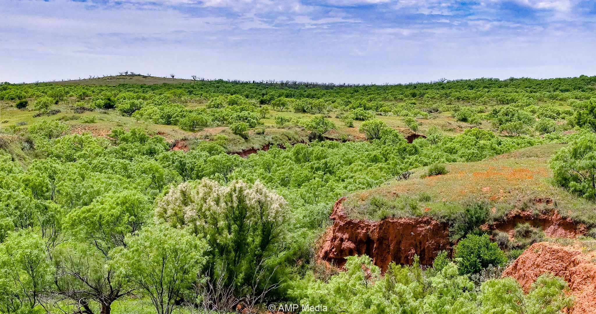 Tbd Cr 452 Rotan TX 79546