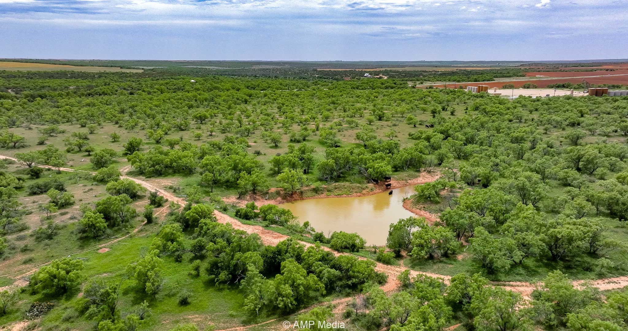 Tbd Cr 452 Rotan TX 79546
