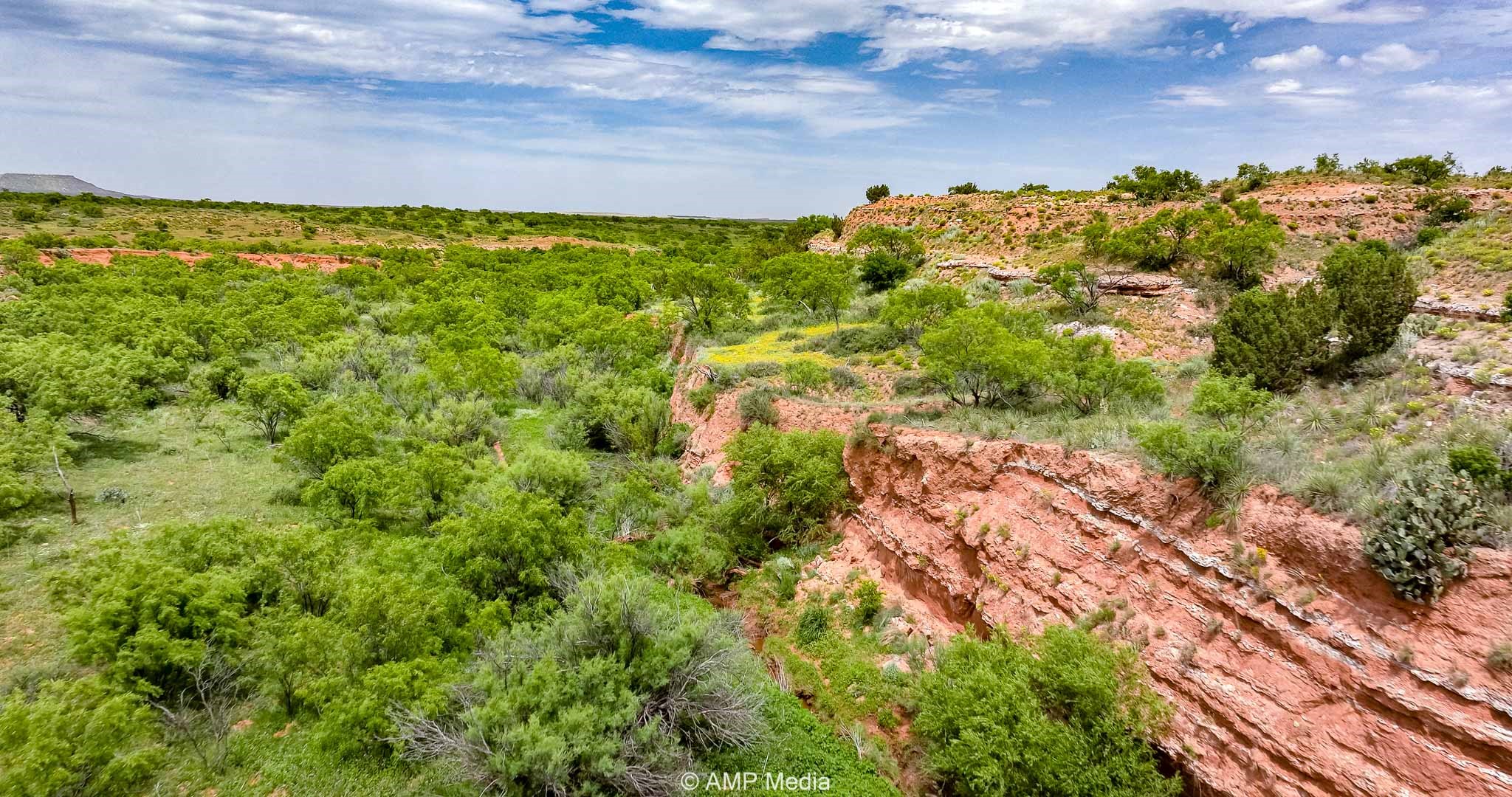 Tbd Cr 452 Rotan TX 79546