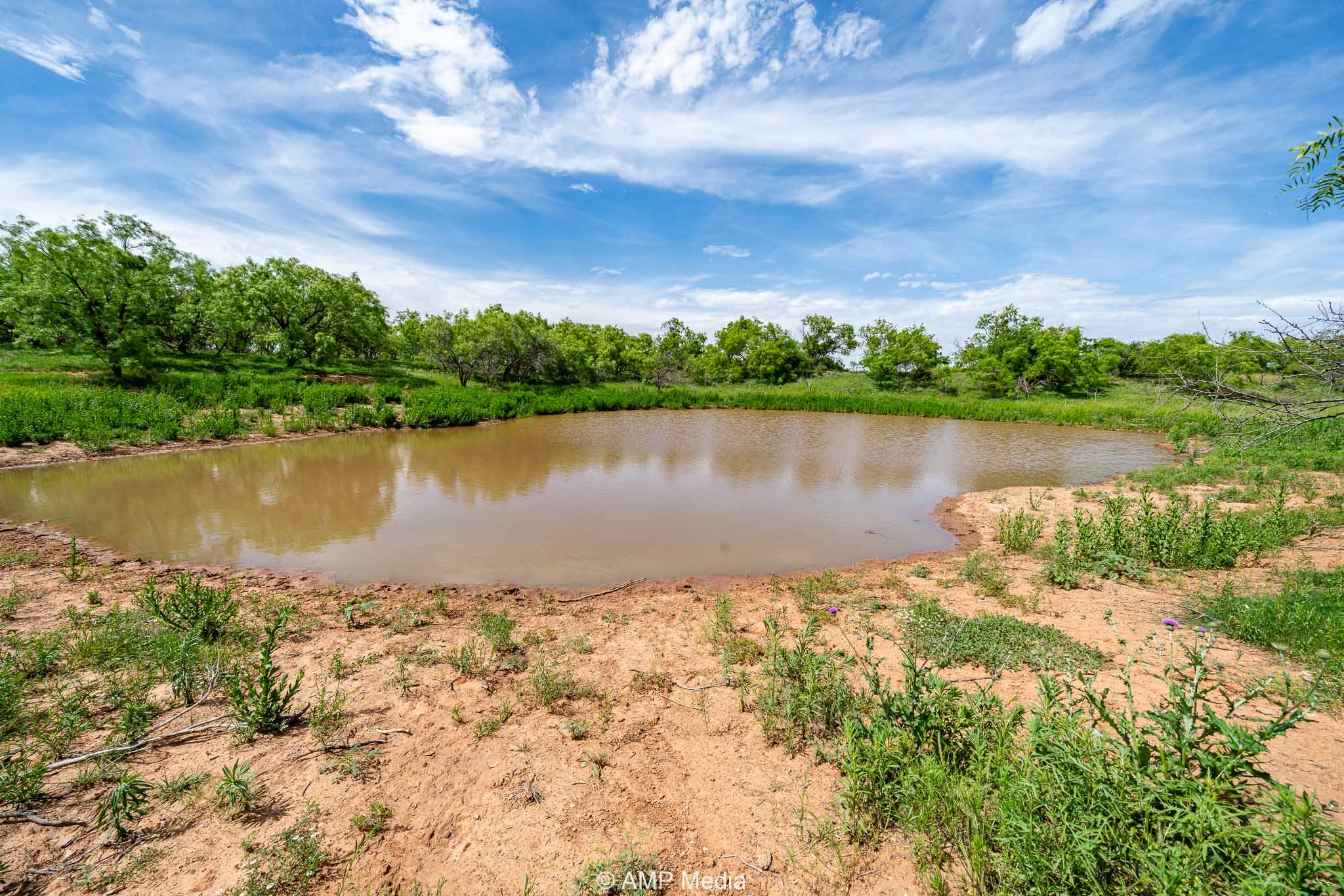 Tbd Cr 452 Rotan TX 79546
