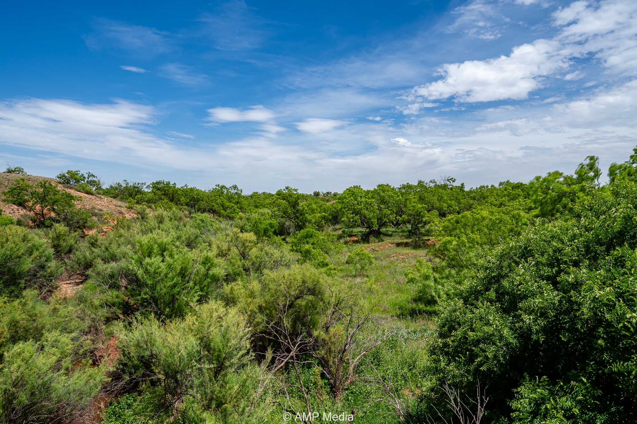 Tbd Cr 452 Rotan TX 79546