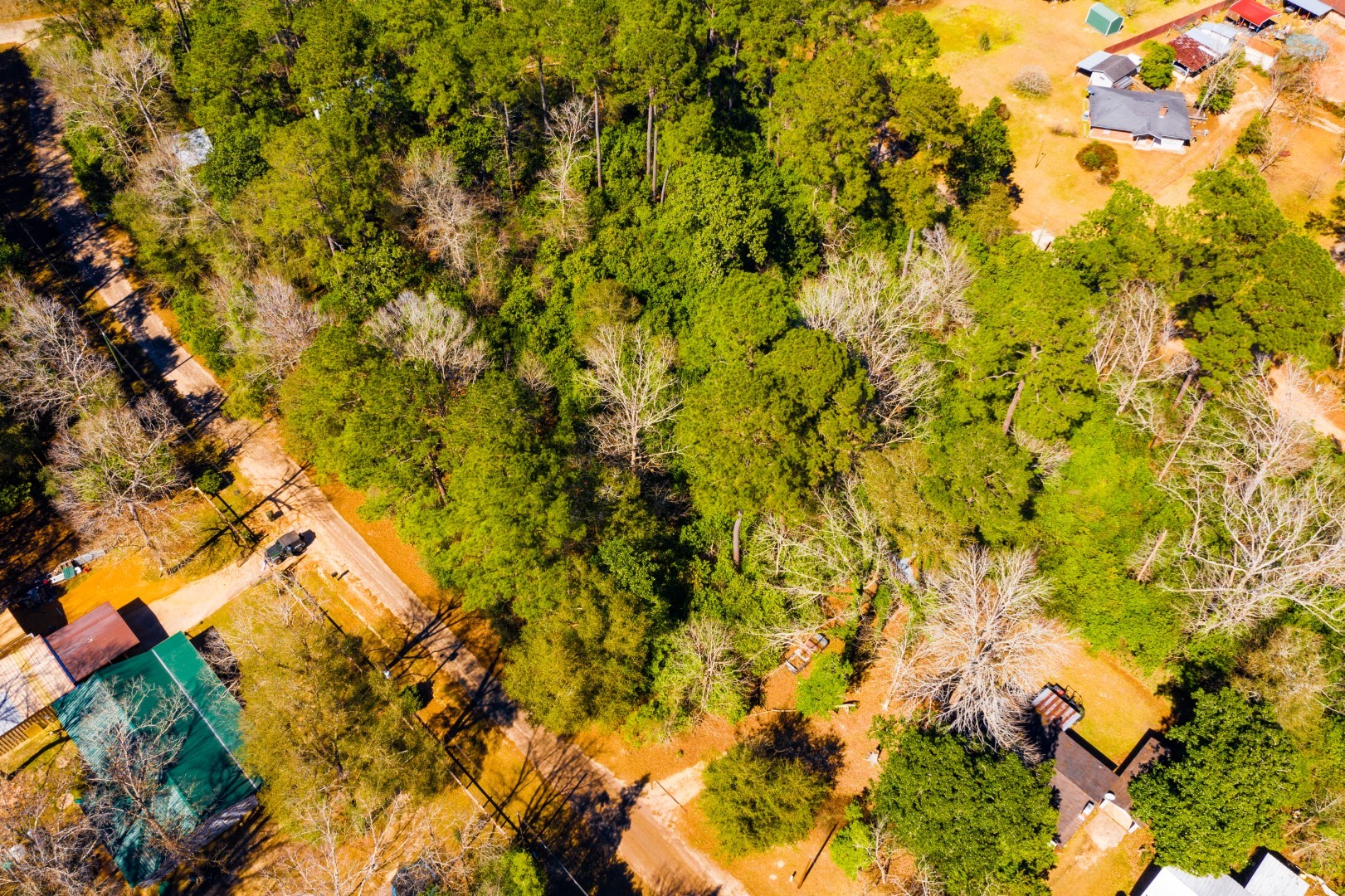 Lot 26 Buckingham Drive Woodville TX 75979