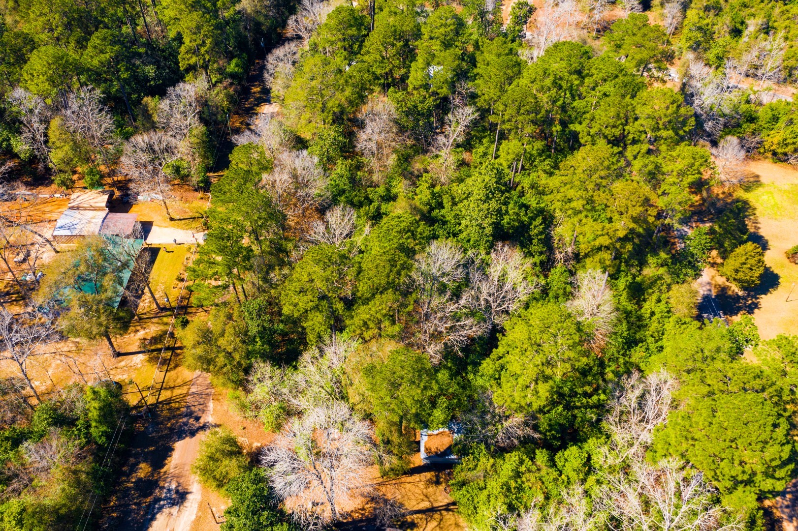 Lot 26 Buckingham Drive Woodville TX 75979