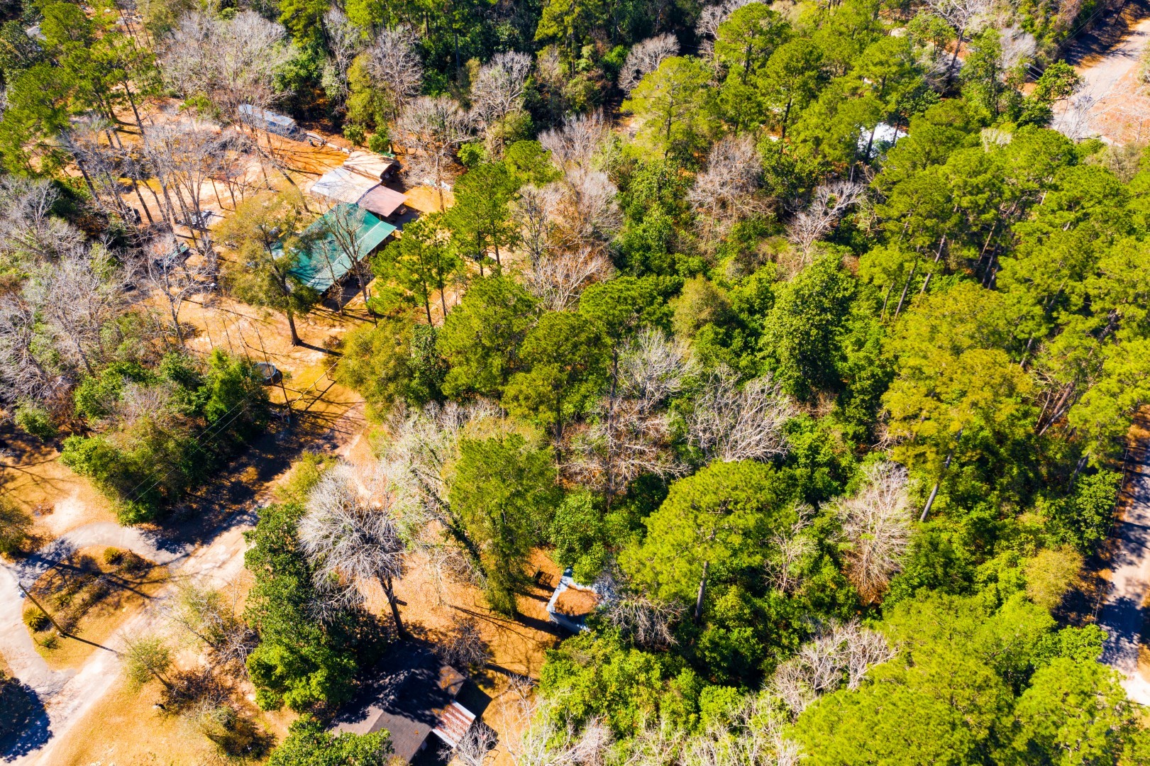 Lot 26 Buckingham Drive Woodville TX 75979