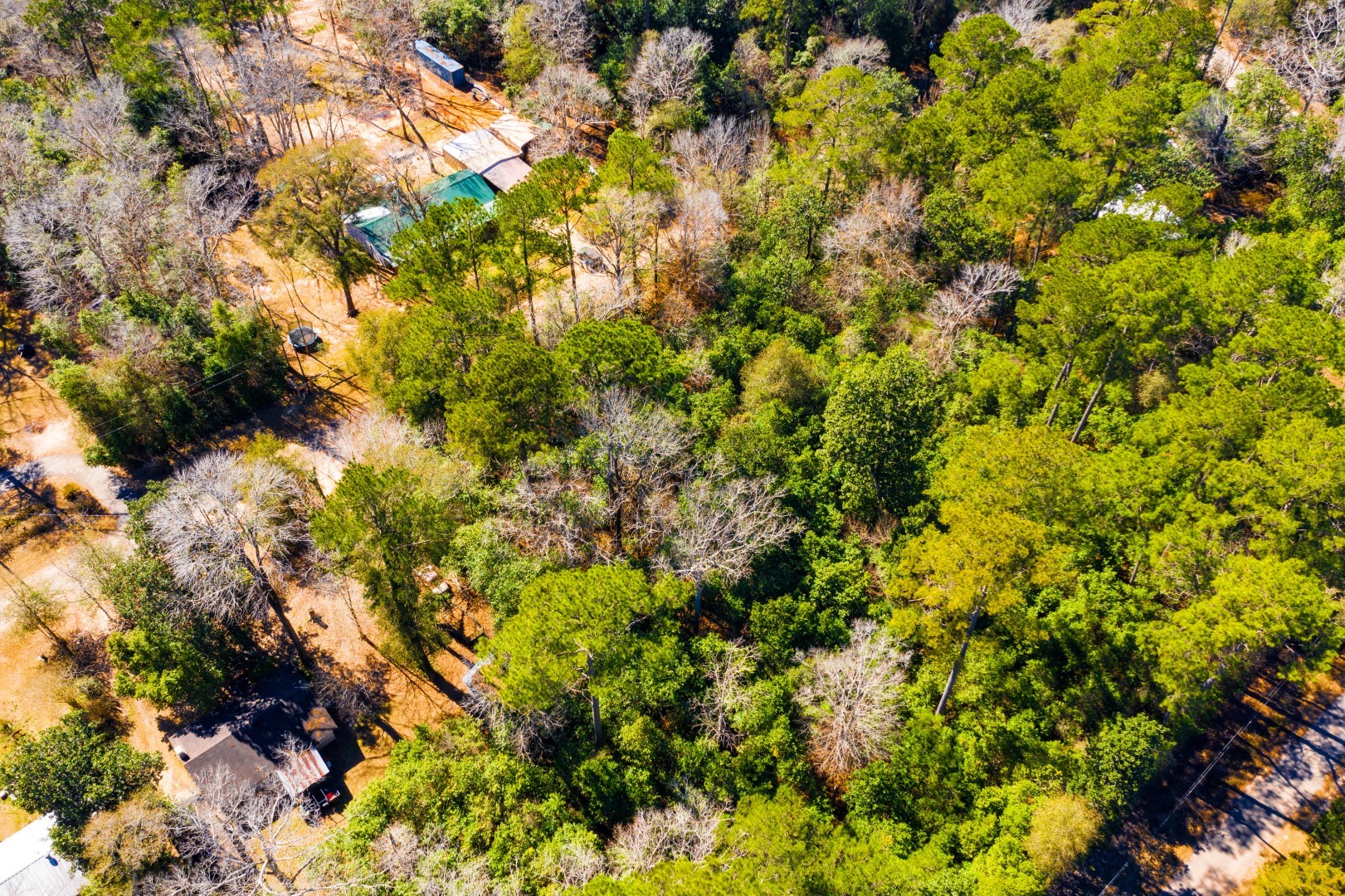 Lot 26 Buckingham Drive Woodville TX 75979