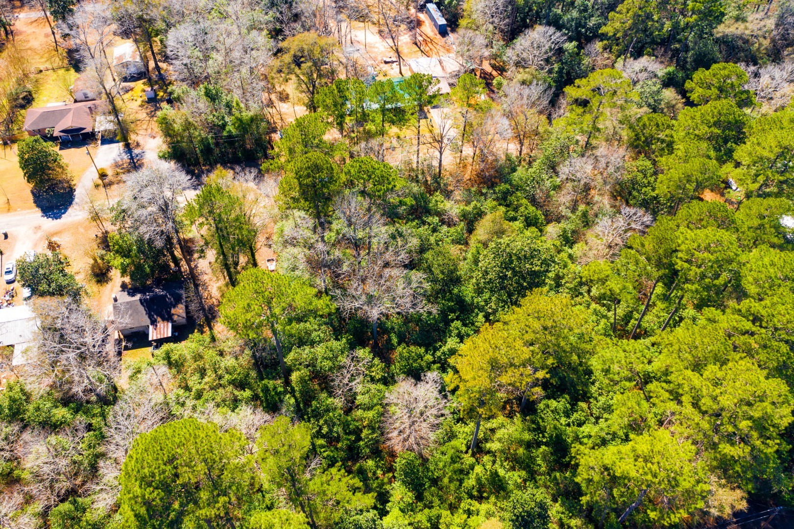Lot 26 Buckingham Drive Woodville TX 75979