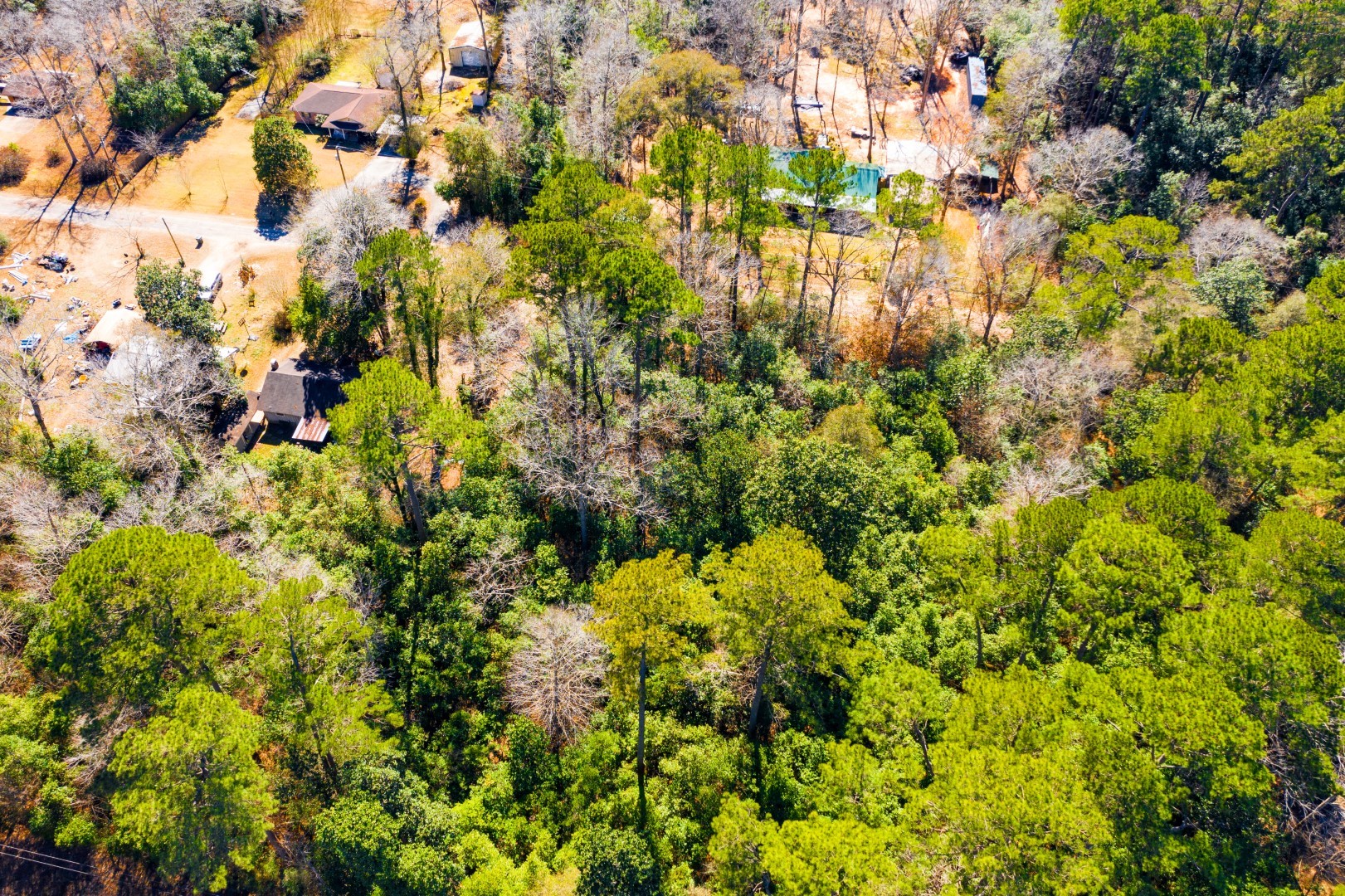 Lot 26 Buckingham Drive Woodville TX 75979