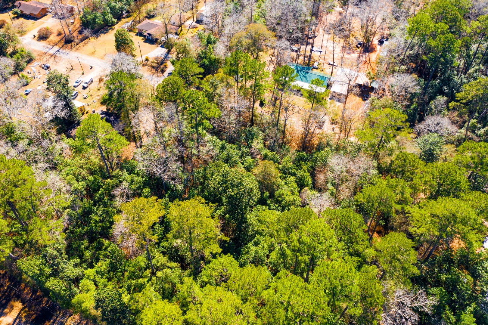 Lot 26 Buckingham Drive Woodville TX 75979