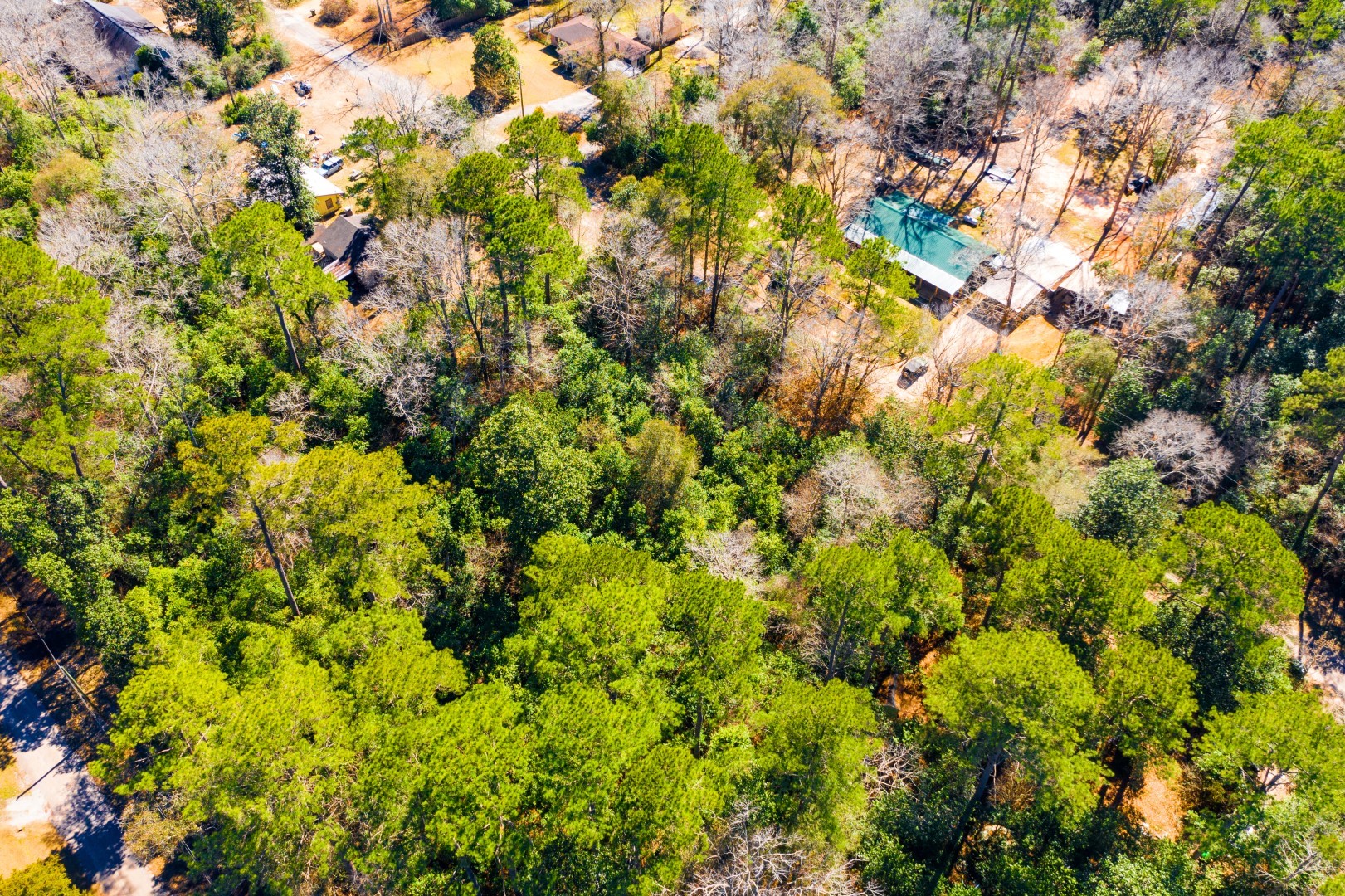 Lot 26 Buckingham Drive Woodville TX 75979
