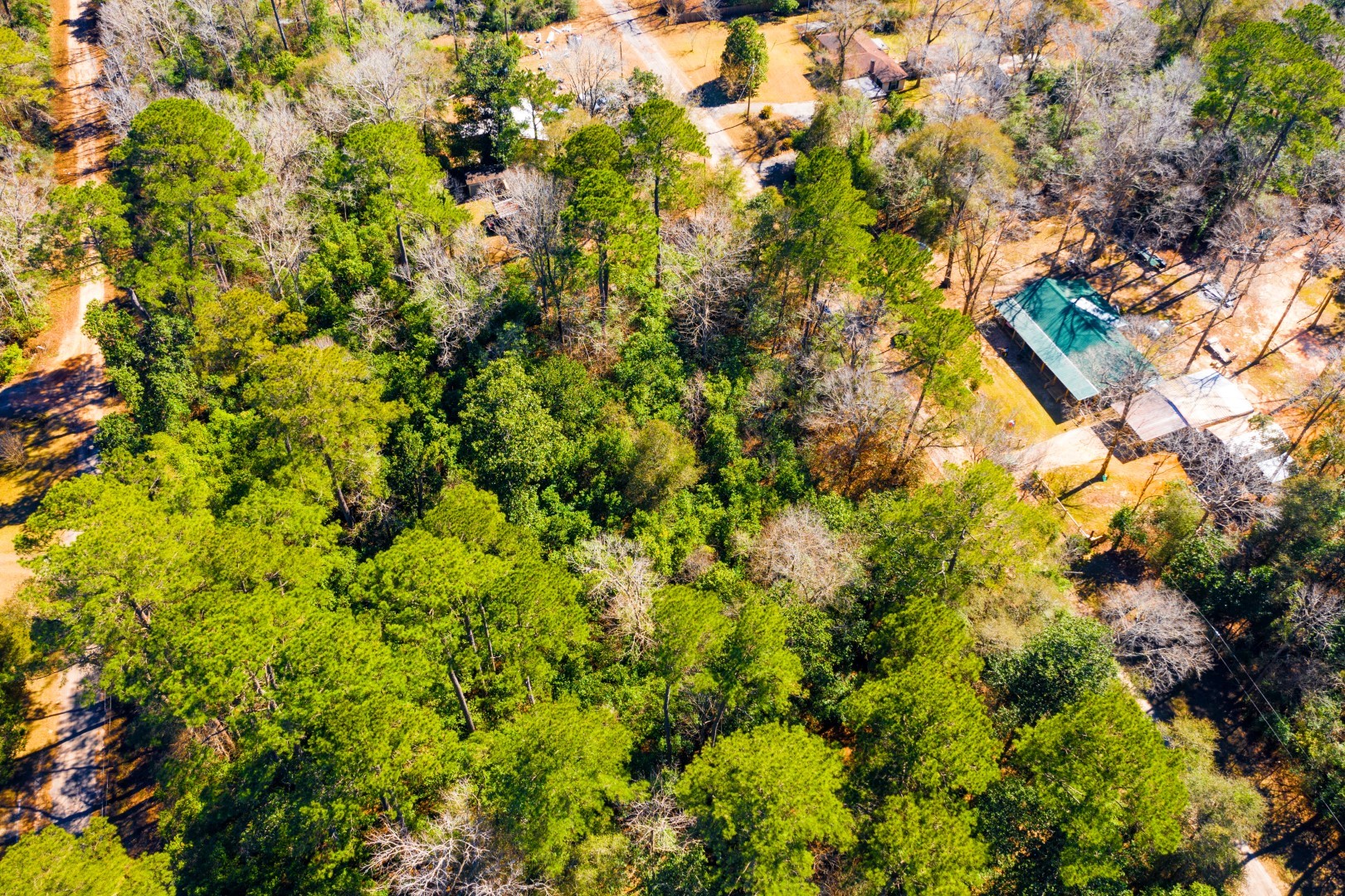 Lot 26 Buckingham Drive Woodville TX 75979