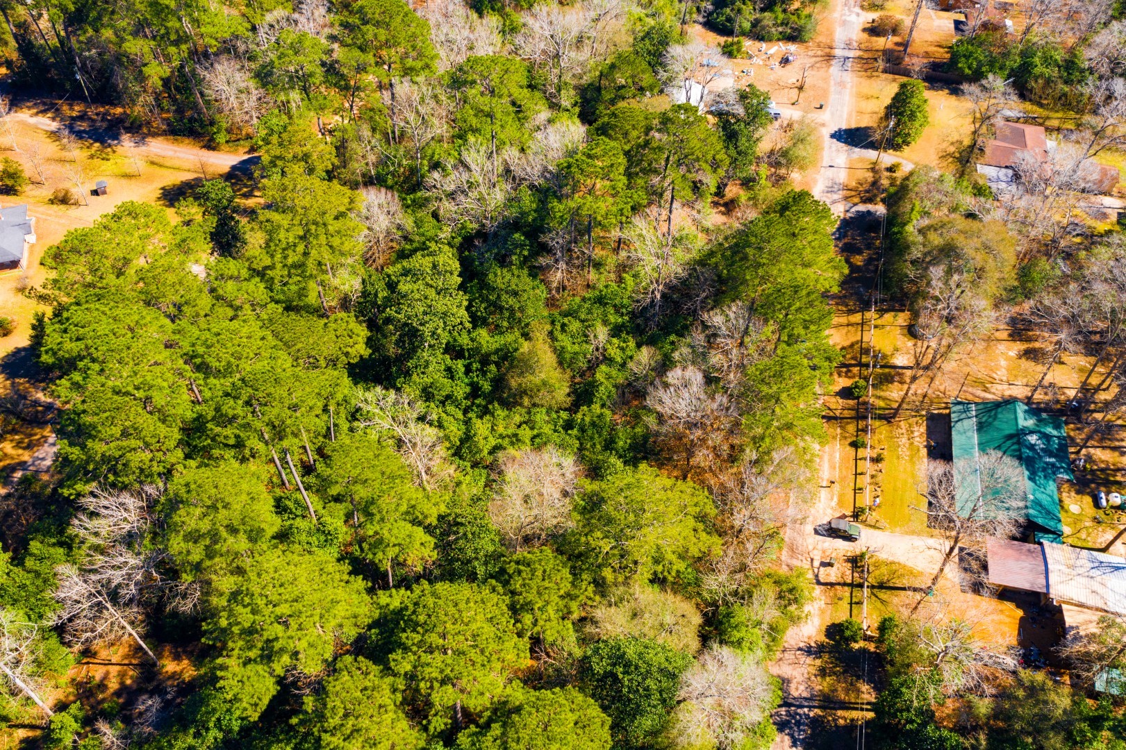 Lot 26 Buckingham Drive Woodville TX 75979