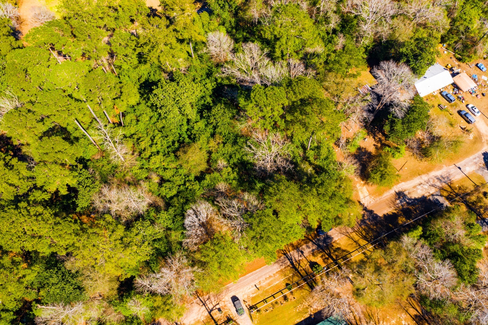 Lot 26 Buckingham Drive Woodville TX 75979