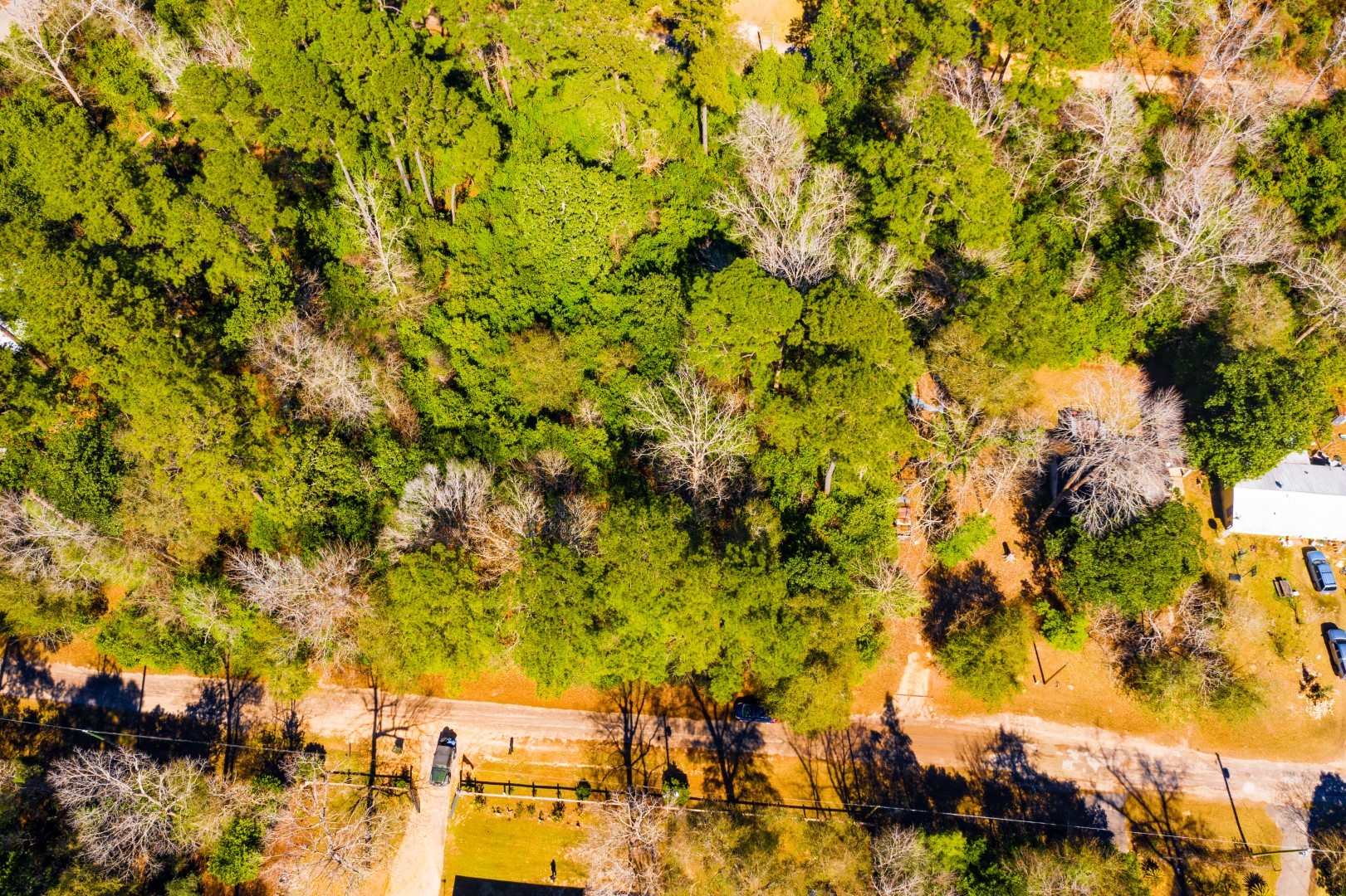 Lot 26 Buckingham Drive Woodville TX 75979