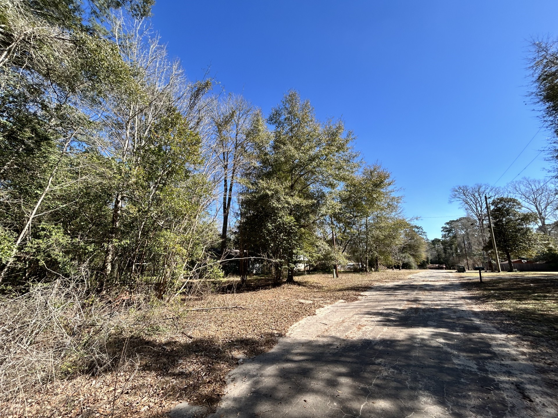 Lot 26 Buckingham Drive Woodville TX 75979