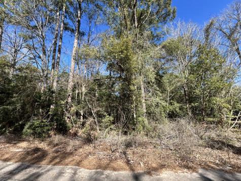 Lot 26 Buckingham Drive Woodville TX 75979
