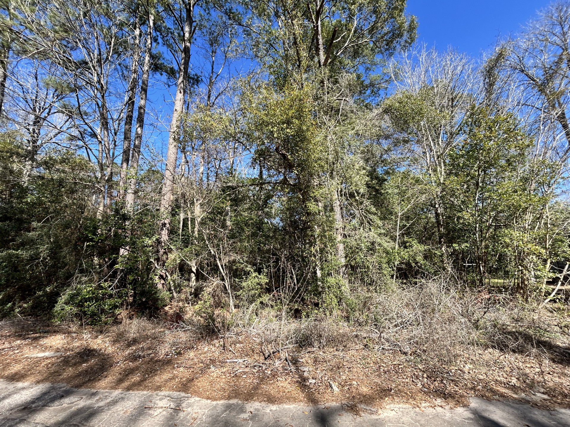 Lot 26 Buckingham Drive Woodville TX 75979